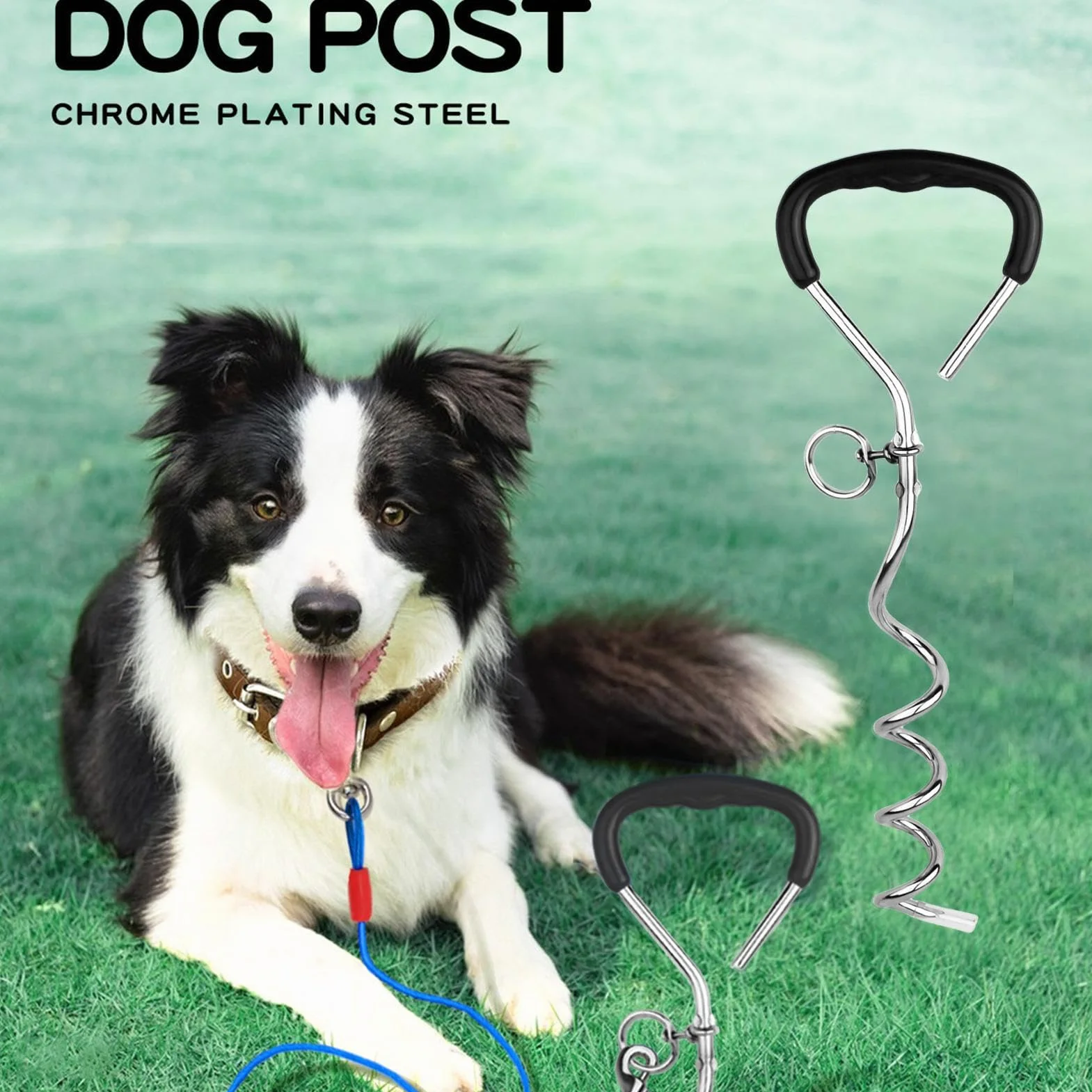 Picchetti per cani per terra, picchetti per legare cani, picchetti per legare i cani, resistenti e a prova di torsione, da attaccare al cavo e per campeggio, sfondo, cortile, spiaggia