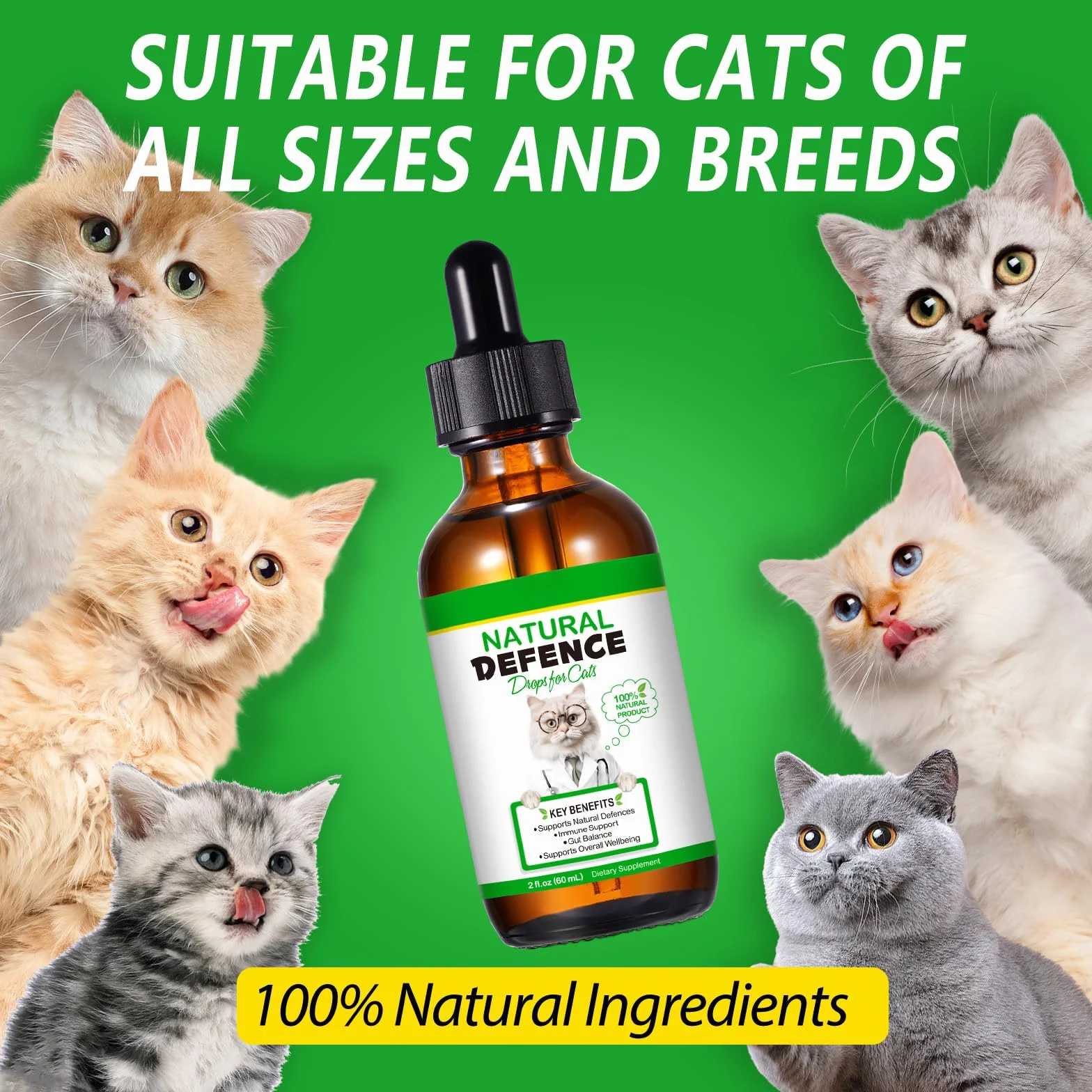 Antibiotici per Gatti, 60ml Antibiotici per Gatti Contro le Infezioni, Supporto del Sistema Immunitario, Sollievo dal Prurito, Sollievo Dalle Allergie, Gusto Pollo