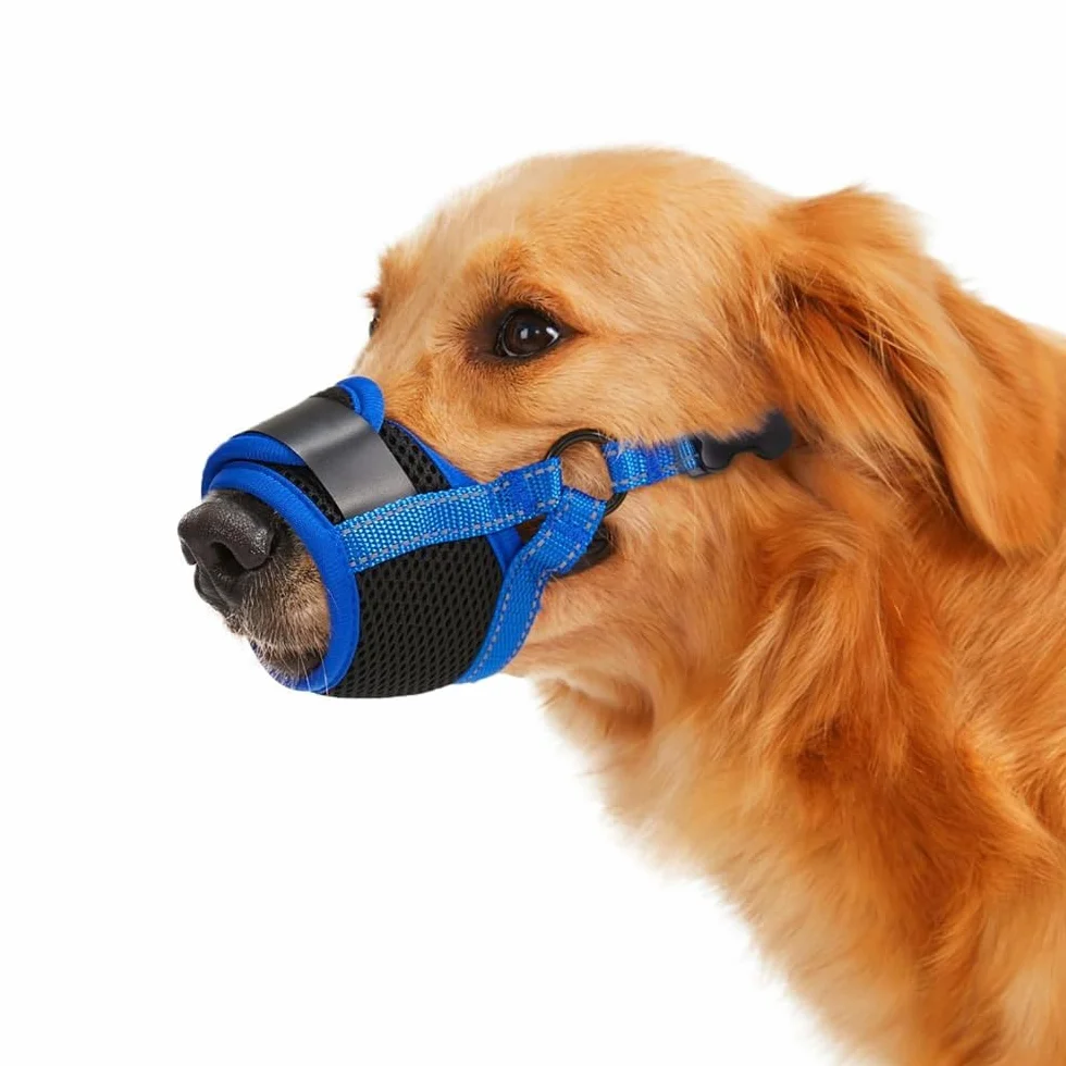 Museruola Cane Museruola a Rete Morbida Anti Morso Cani Prevenire Morsi Con Anello Regolabile Cani di Taglia Piccola Media Grande(Blu-S)