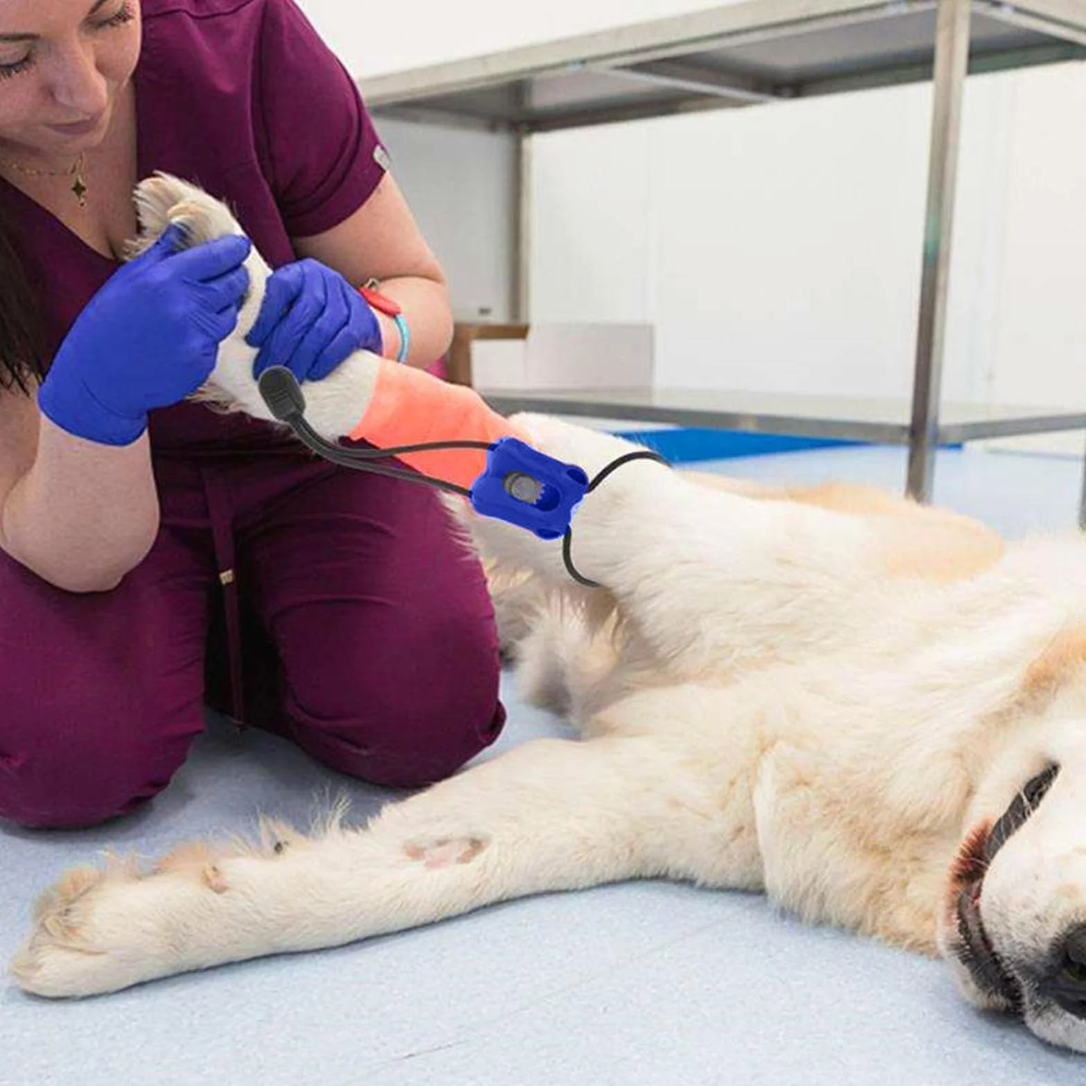 Generico Benda per Laccio Emostatico per Animali Domestici - Fascia per Mini Trauma in PP di Emergenza per Controllo Sanguinamento A Sgancio Rapido | Strumento Veterinario Portatile | Cura delle