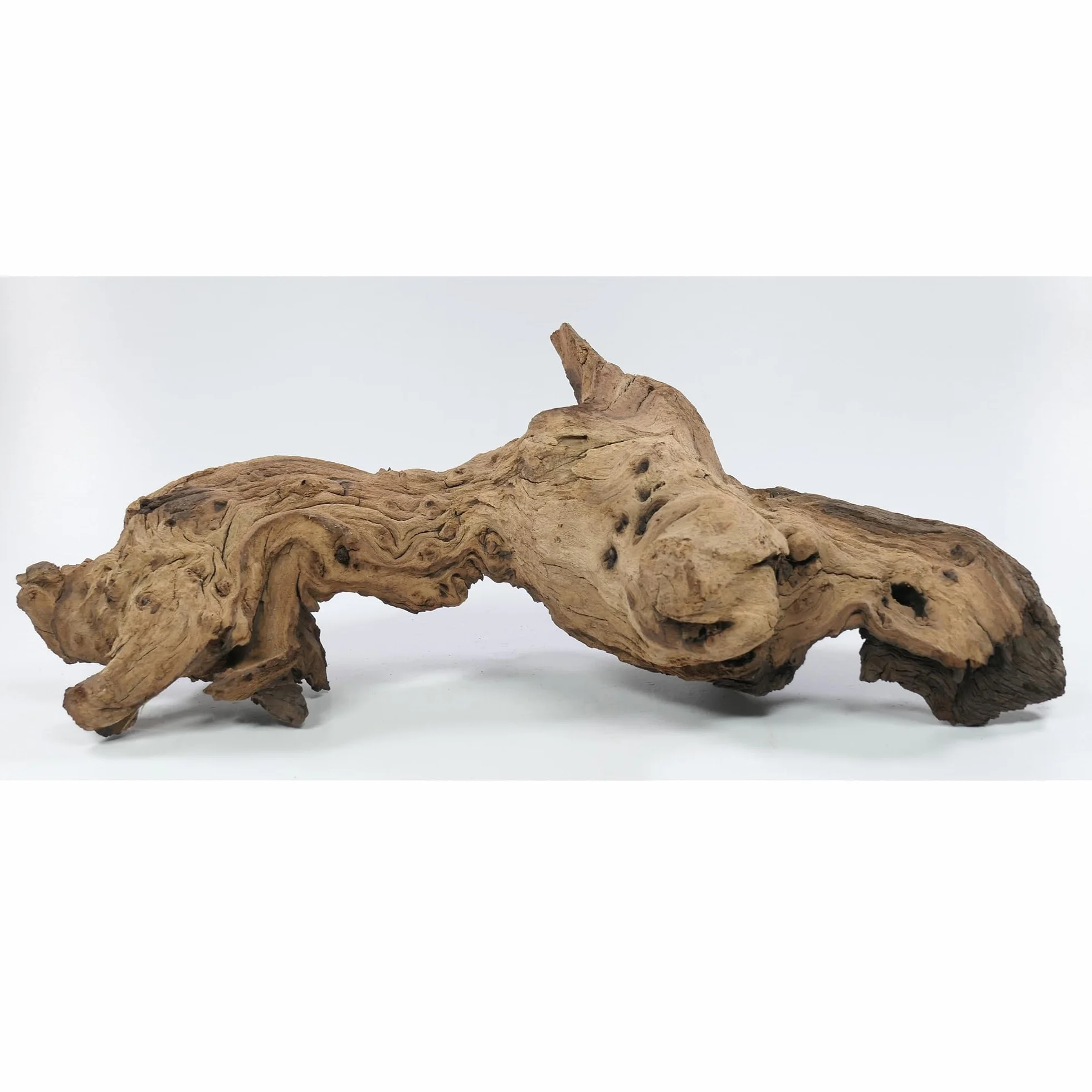 Mopani radice taglia L, decorazione per acquario, gamberetti, pesci ornamentali Hard Scape 30 cm – 40 cm (Mangrove Savanna)