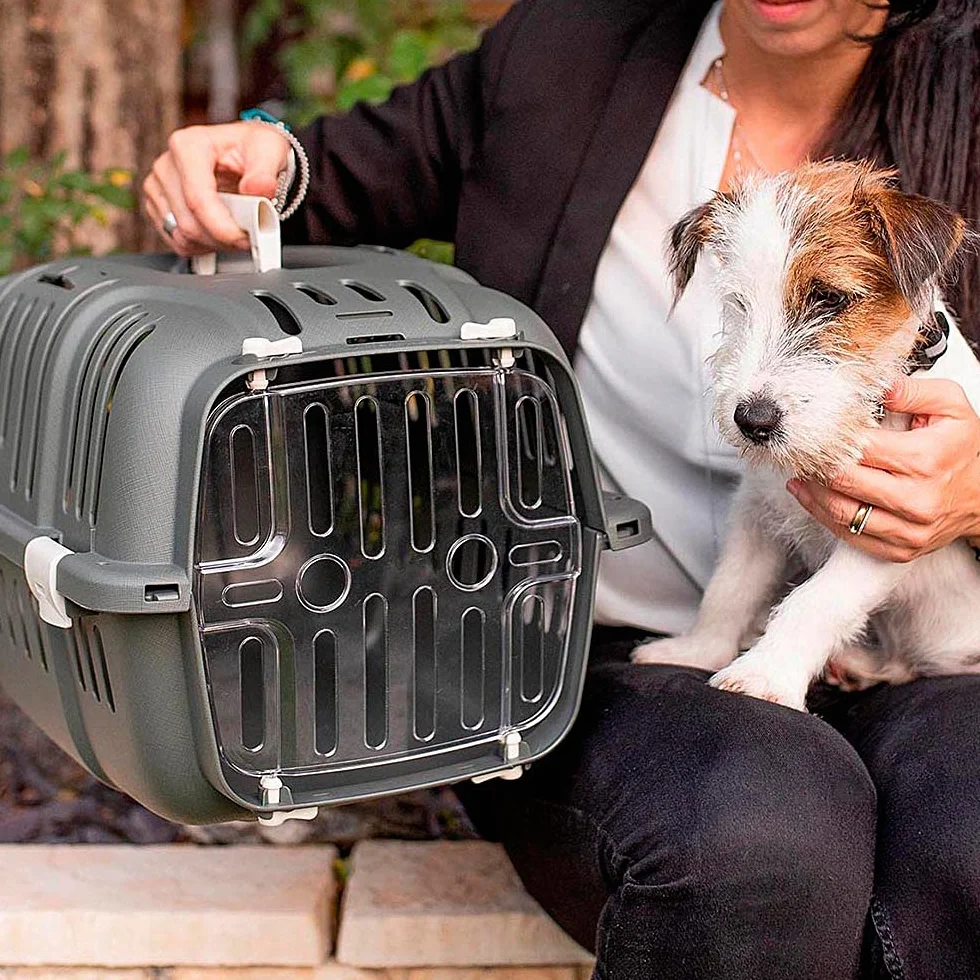 Ferplast Trasportino Rigido per Cani Piccoli e Gatti Jet 10, Porta Trasparente Antiurto, Griglie di aerazione