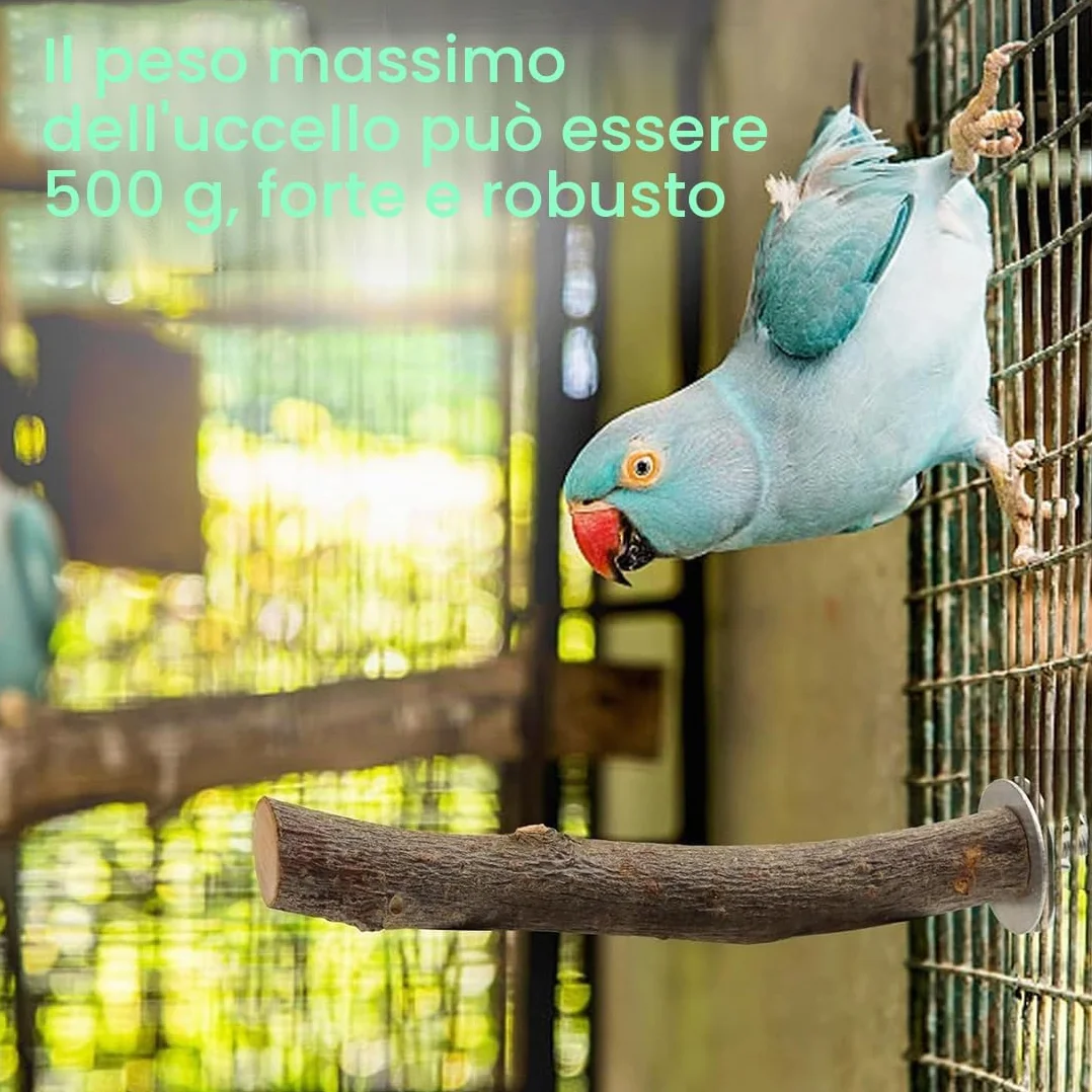 8 Pezzi Posatoi in Legno di Uccelli Trespoli in Legno Naturale per Pappagallo Posatoio per Pappagalli Trespolo Supporti per Uccelli per Fringuelli Pappagalli Calopsitte Parrocchetti