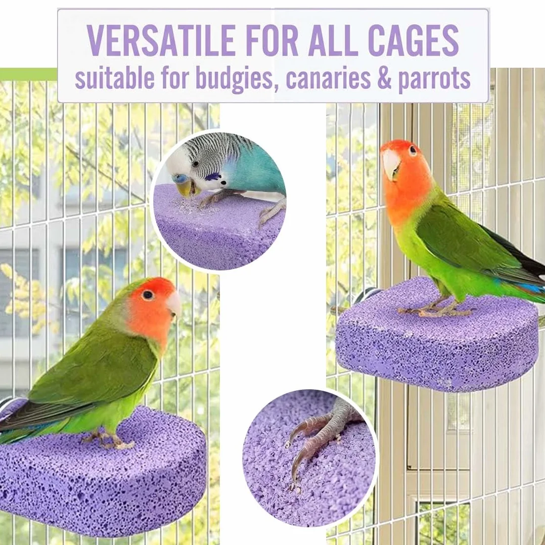 2 Pezzi Trespolo Per Pappagalli Attrezzo Per Limare Gli Artigli, Mordicchio Per Il Becco, Stecca Ruvida Per Pappagallini, Canarini E Pappagalli (Viola)