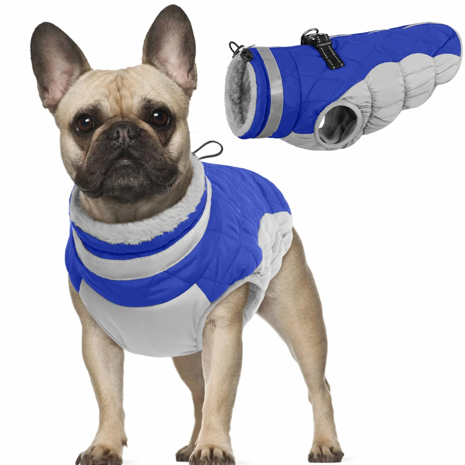 Piumino Cane XS, Cappotto per Bulldog Francese e Chihuahua, Blu