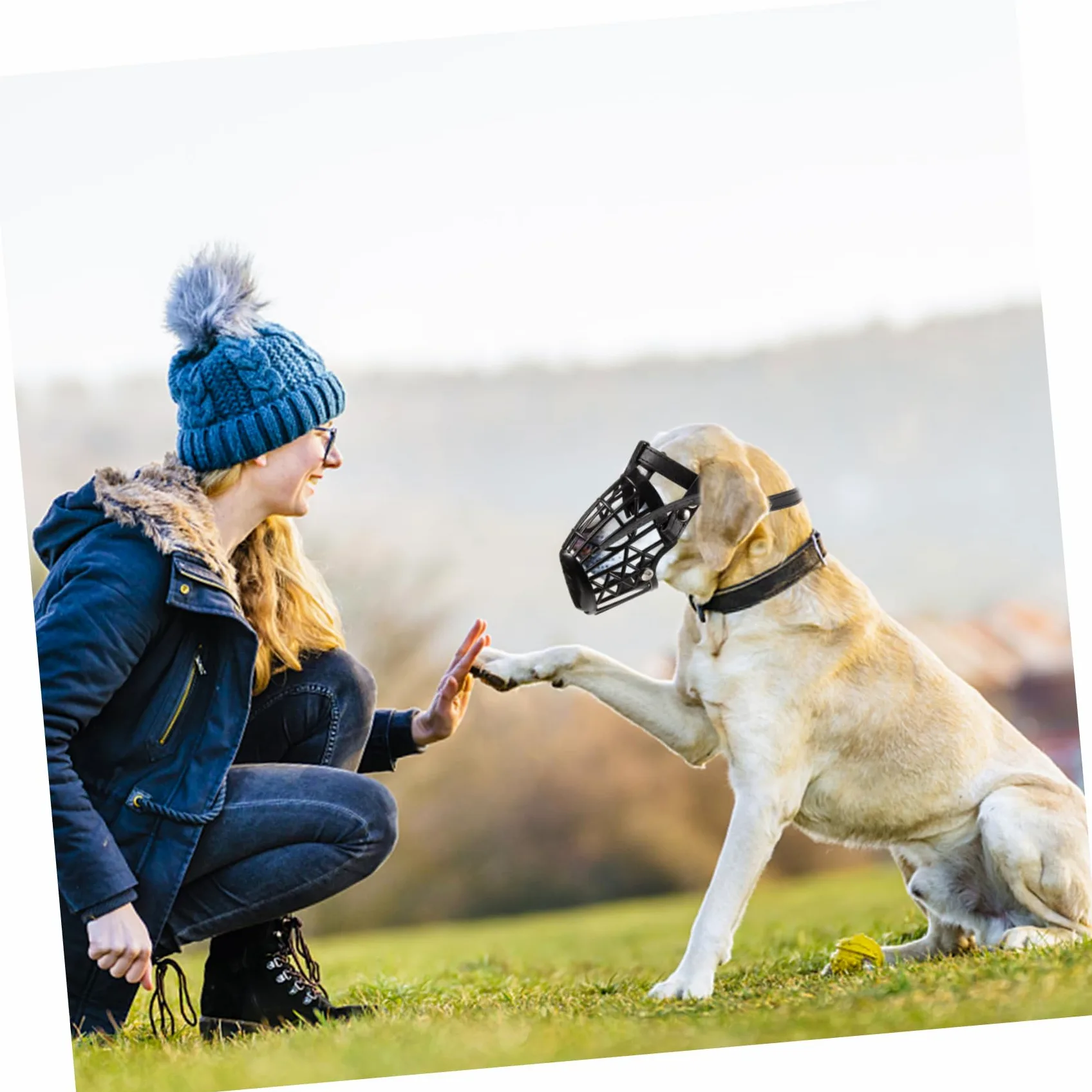 INOOMP Museruola per Cani in Plastica con Cestello Regolabile e Cinturino in Pelle Pu Nero, Set da 7 Unitá Anti-morso Traspirante per Cani e Animali Domestici