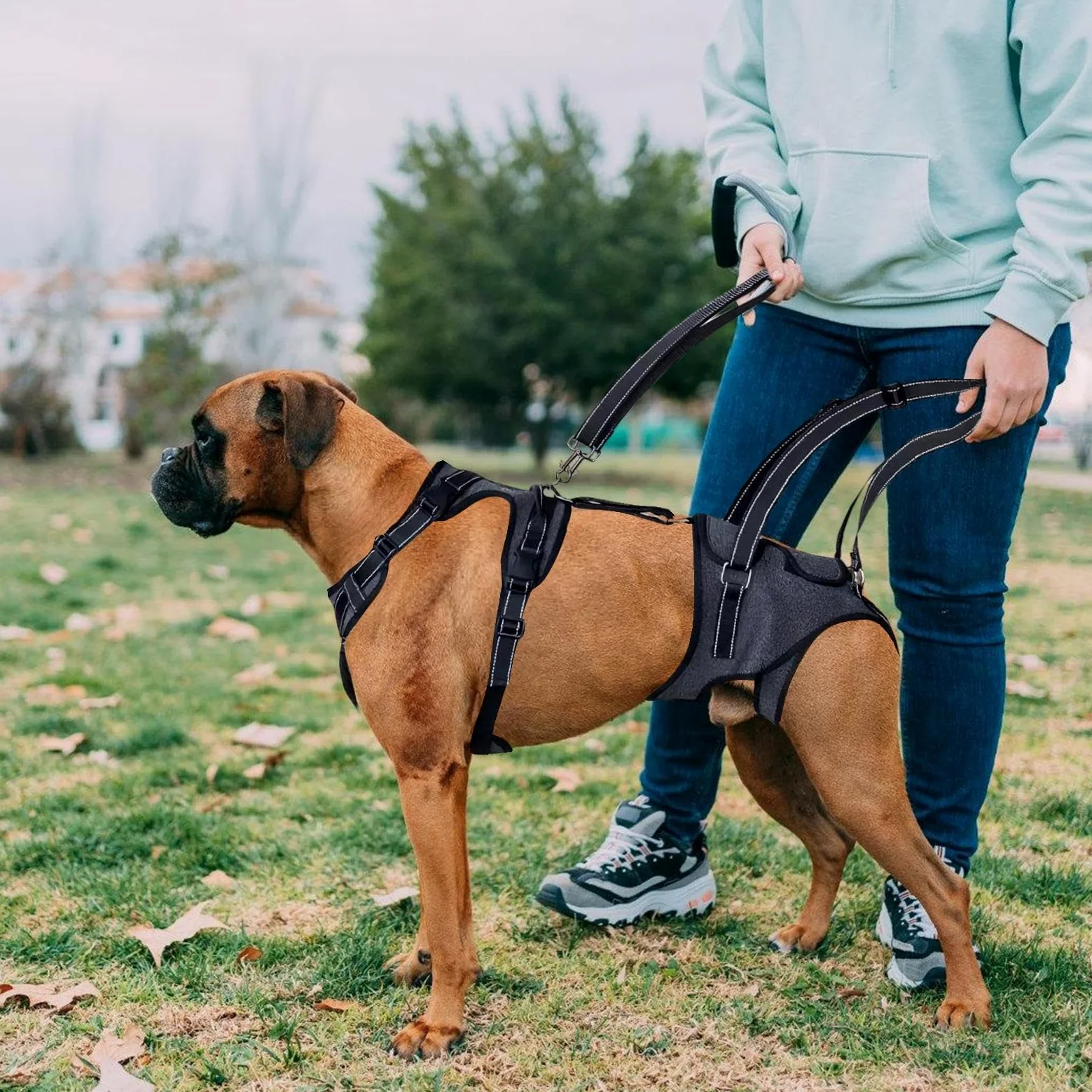 Imbracatura di sollevamento Gilet regolabile con cinghie di trasporto per | Maniglie Sollevatore Per Cani per cani anziani, disabili, riabilitazione e visite veterinarie