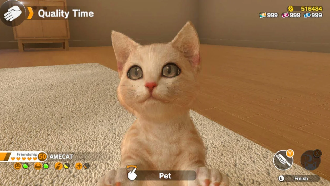 Little Ukiends Switch per cani e gatti (versione francese)