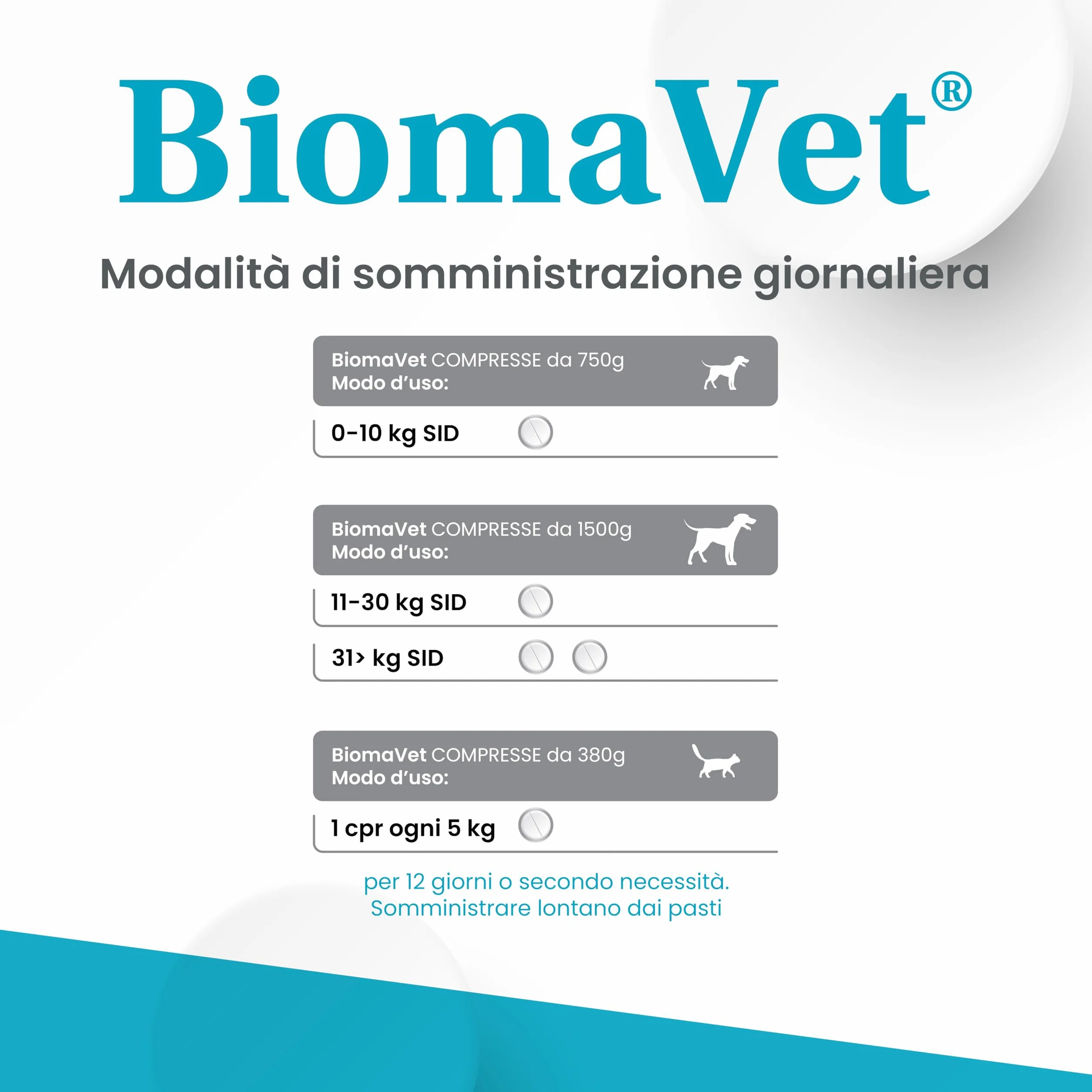 BiomaVet Probiotici Gatto per il Benessere Intestinale - Probiotici per Gatti con Formulazione Multiceppo, Lattoferrina e Vitamina B12-12 Compresse da 380mg