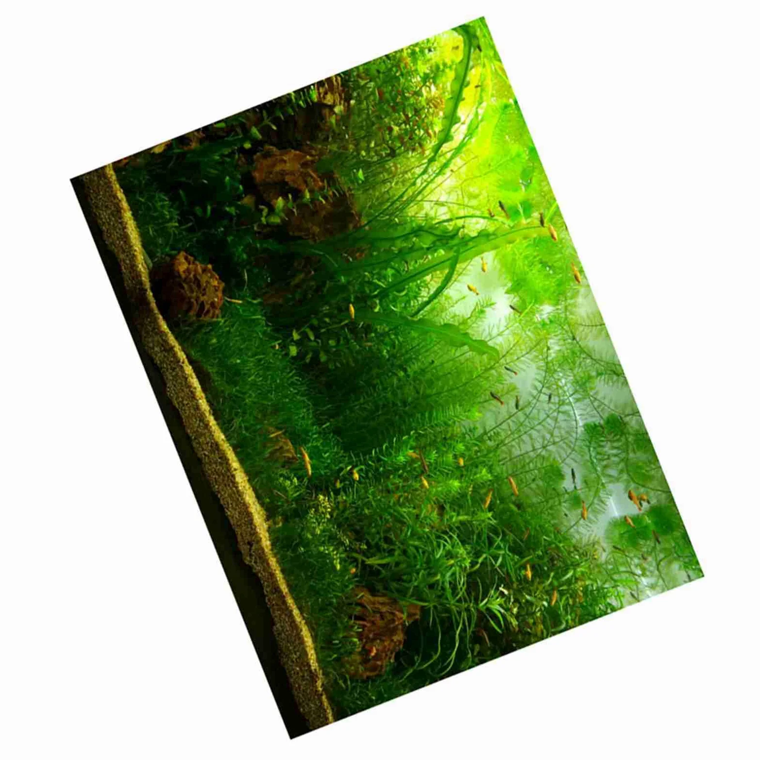 Poster di Sfondo per Acquario con Erba – Decorazione Adesiva in PVC Addensato per Pesci (ACOGEDOot9cfpg3mv-09)