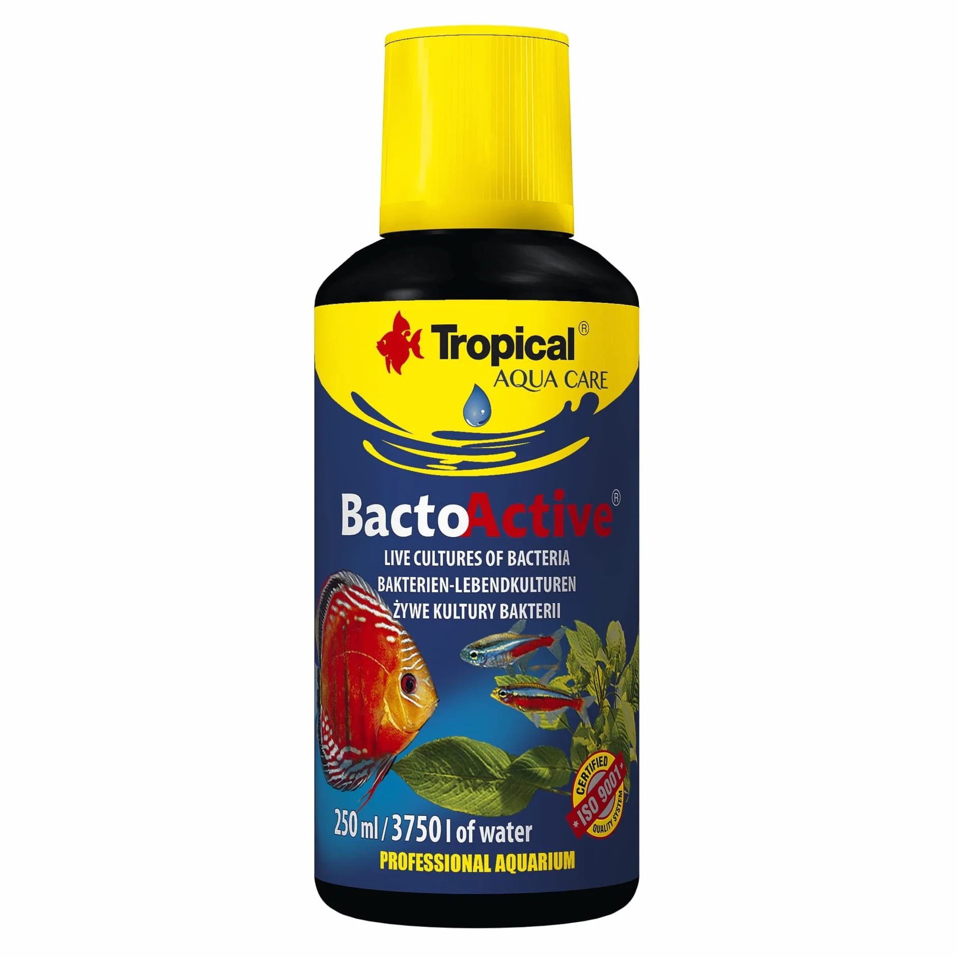 Tropical BACTO Activo 250ML