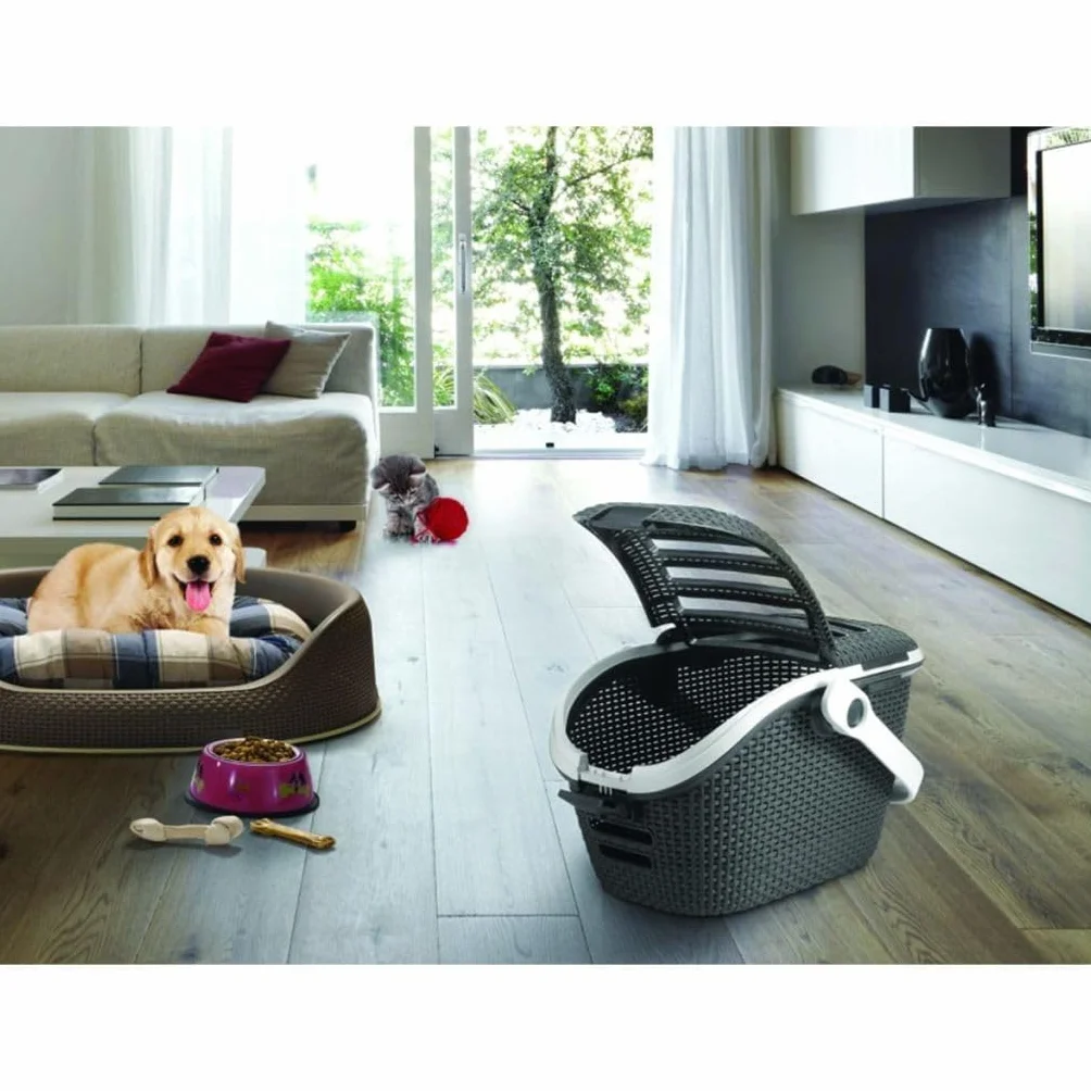 Curver Trasportino per Cani e Gatti, con Maniglia, Antracite, 53X39X33H Antracite