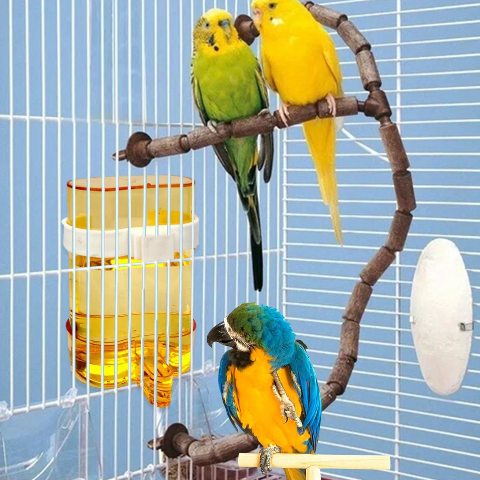 Distributore di Acqua per Uccelli, igienico, Trasparente, Automatico, 200 ml, per Pappagalli, Fringuelli, Calopsiti