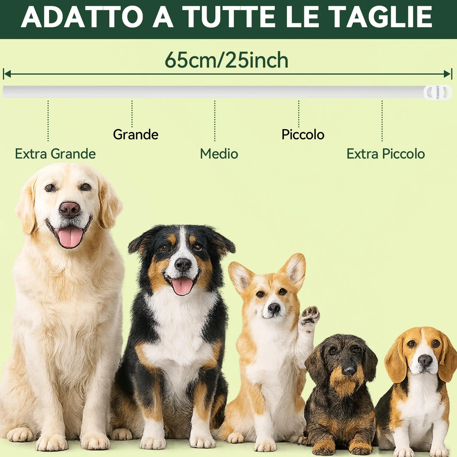Collare Antiparassitario per Cani, Collare Antipulci Cane, Protezione Efficace, Naturale, Impermeabile, Regolabile, Collari Antiparassitari per Cani per Piccoli, Medi e Grandi a Tutte le Razze,65cm