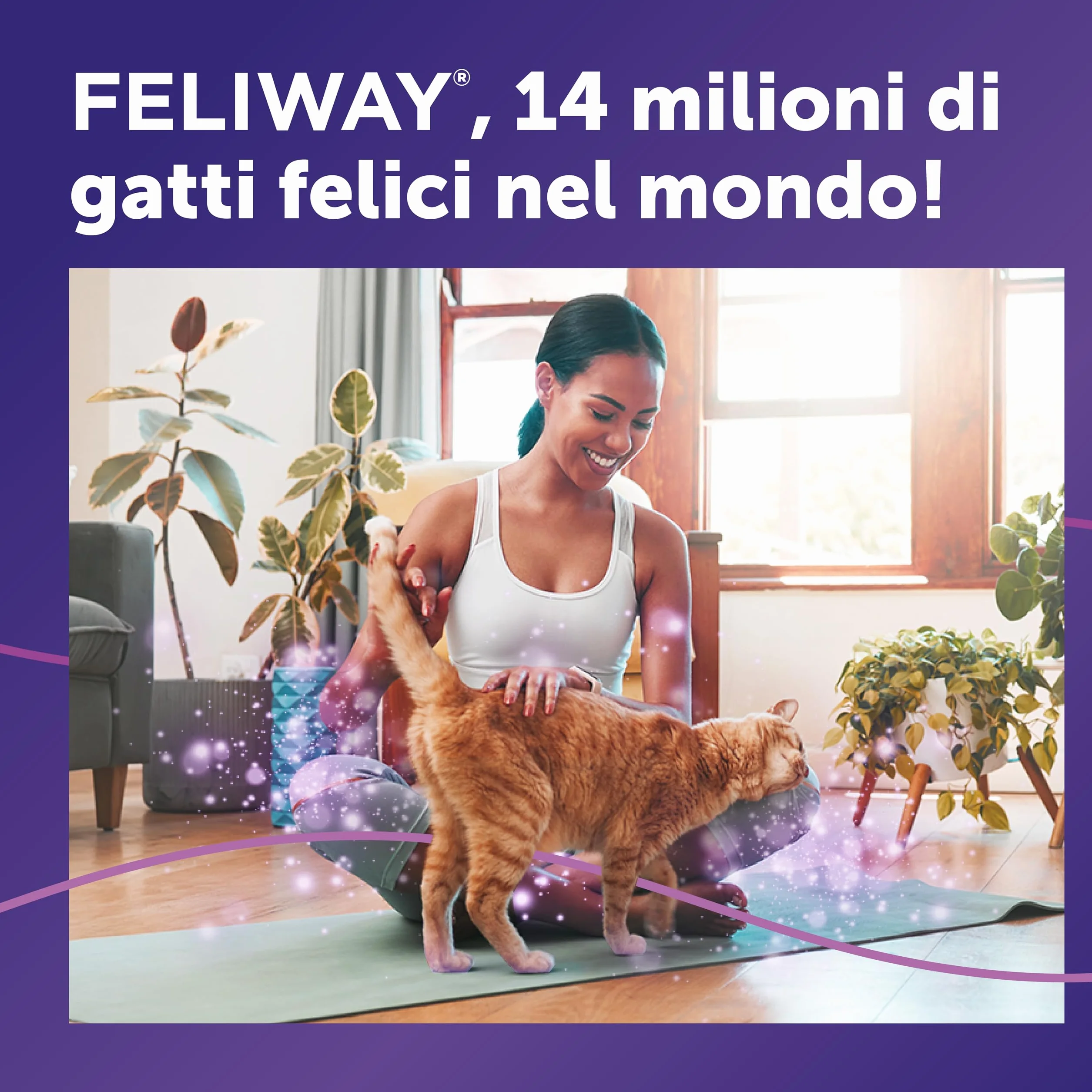 FELIWAY Classic 1x30 Giorni Ricarica Calmante per Gatti per Diffusore di Feromoni, 48 ml – Aiuta a risolvere i segni comuni di stress nei gatti e gattini, Raccomandato dai Veterinari