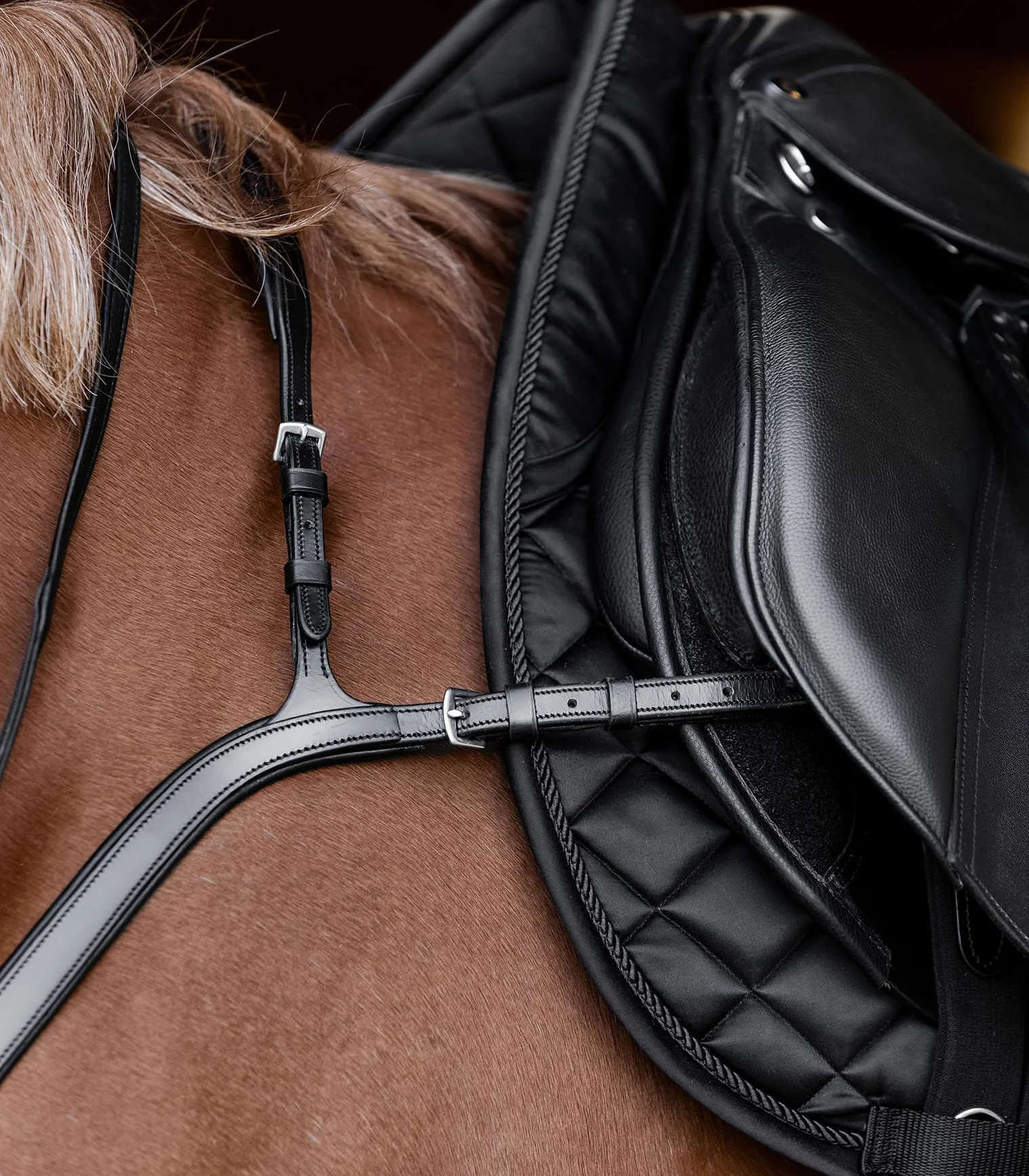WALDHAUSEN Guaina anteriore X-Line con ponte lungo, marrone, WB
