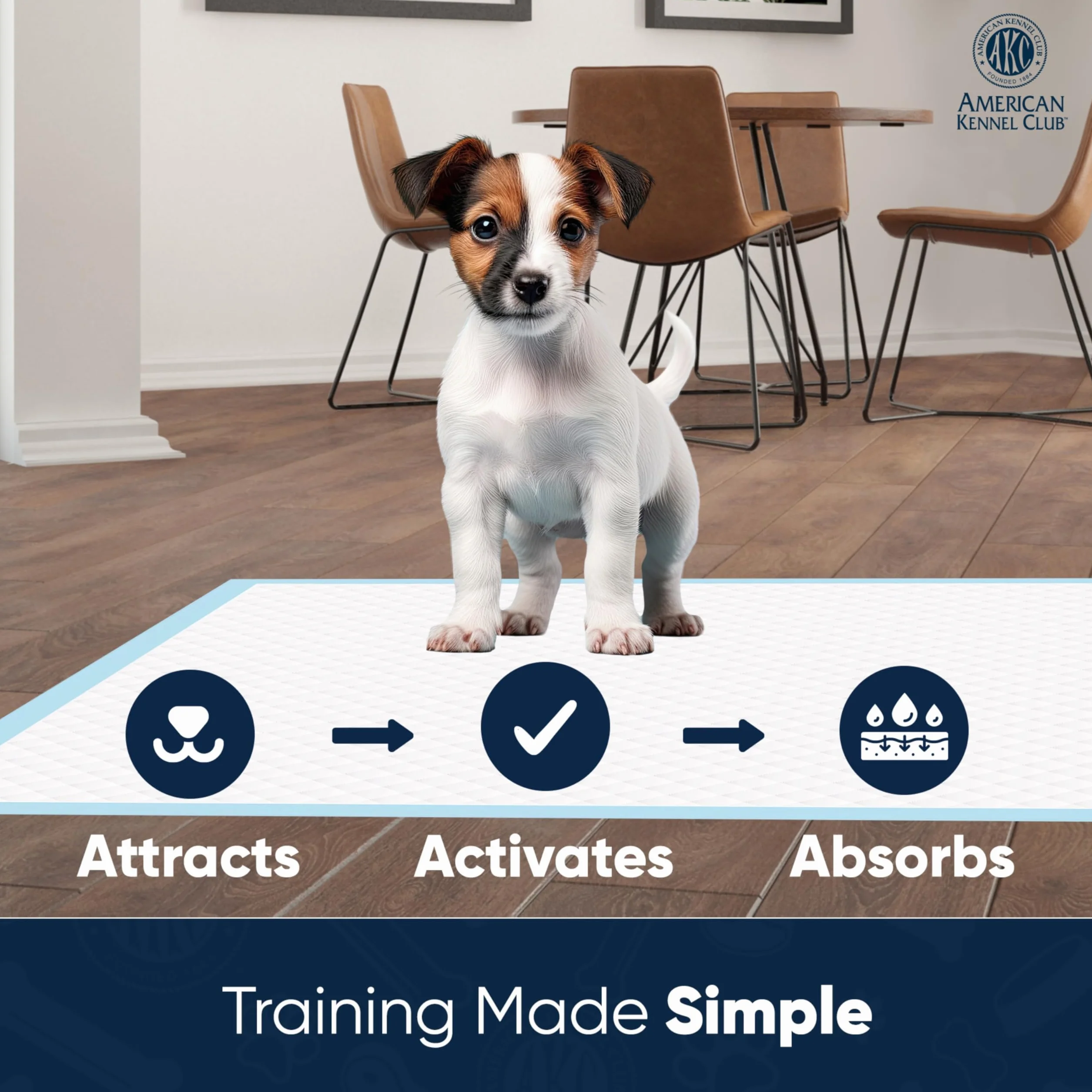 American Kennel Club Akc per addestramento