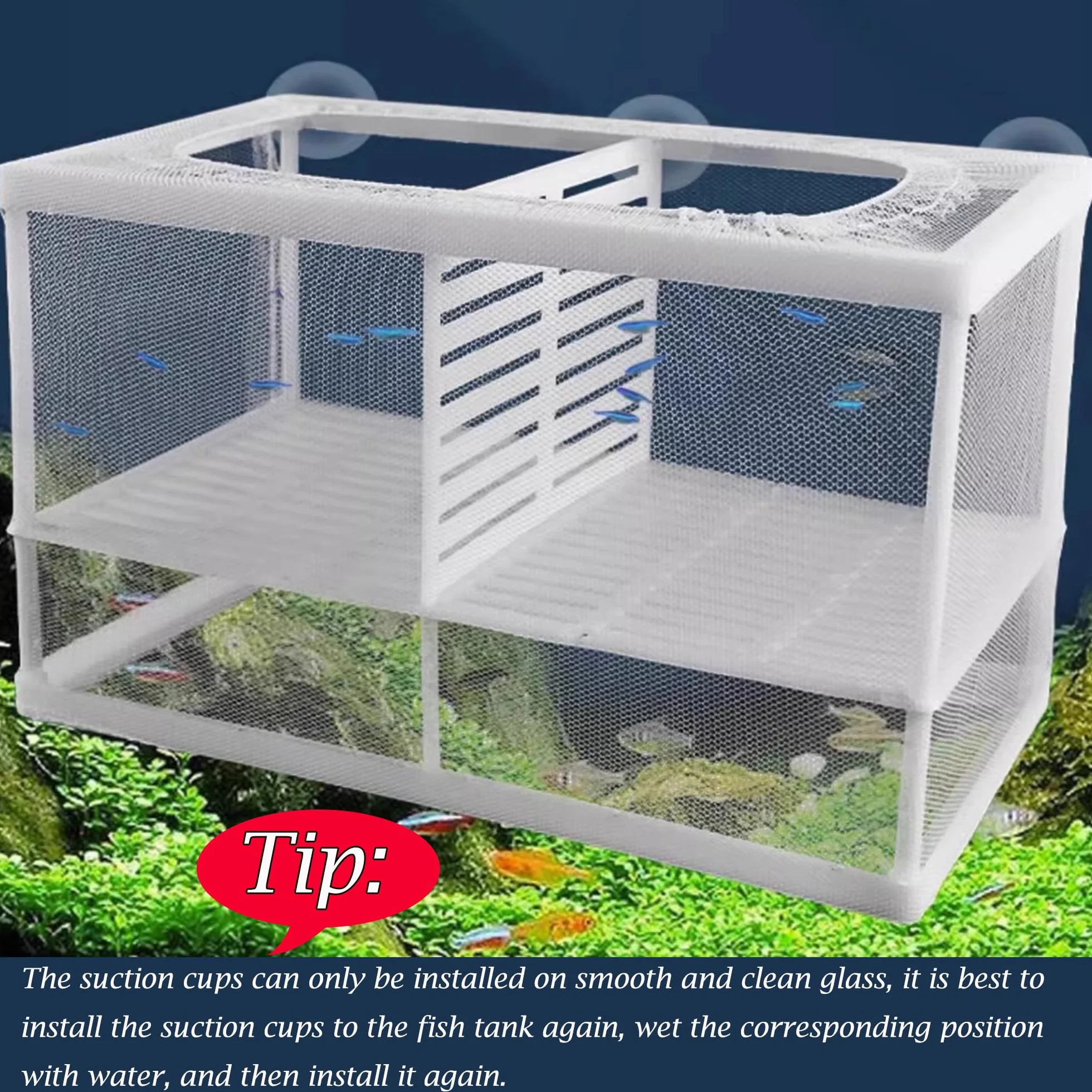 Scatola di Isolamento Allevatore di Pesci Scatola di Allevamento di Pesci Acquario Rete per Incubatoi Isolare Piantine e Sostenere l'incubazione e la Riproduzione con Ventose (26 * 15 * 15 cm)