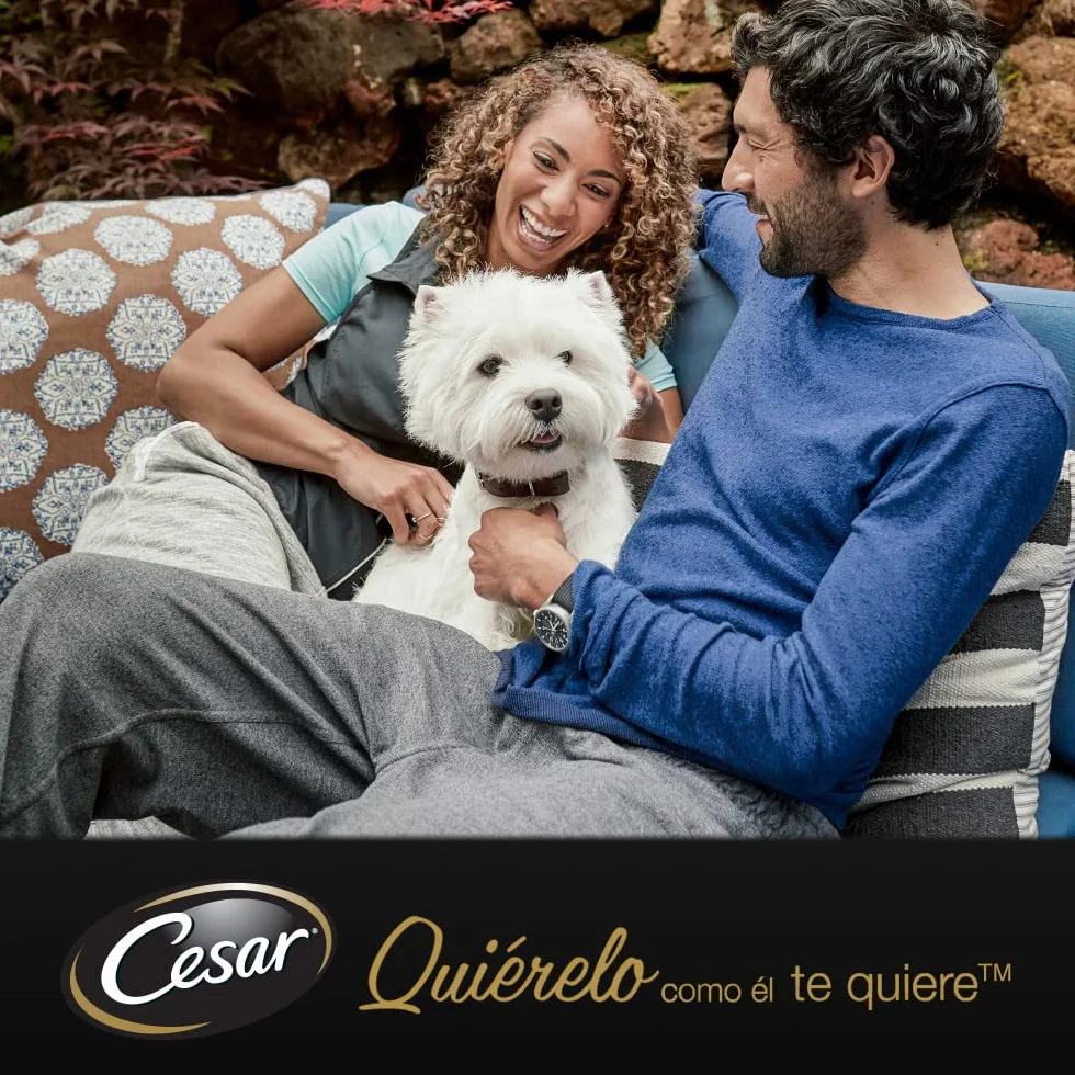 Cesar 10+ Senior - Selezione in Gelatina 13 x (4 x 100g)