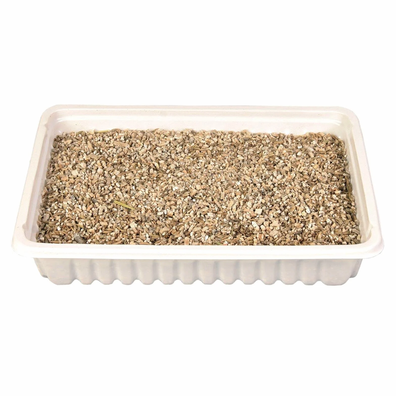 Trixie TX 4235 - Cat Grass Bowl, 100gr