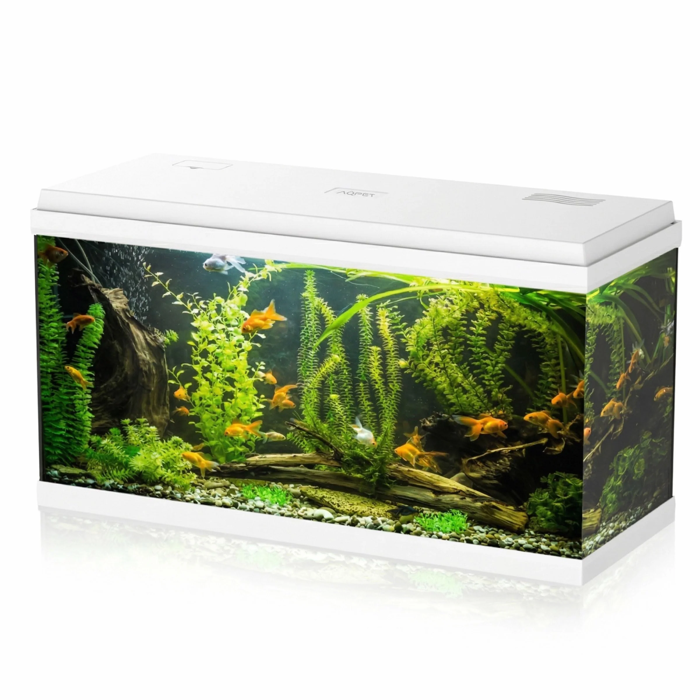 Aqpet Acquario in Vetro per Pesci tropicali Completo di Accessori Filtro Luce Simply, 100 80x32x47 cm 100 Litri, Bianco