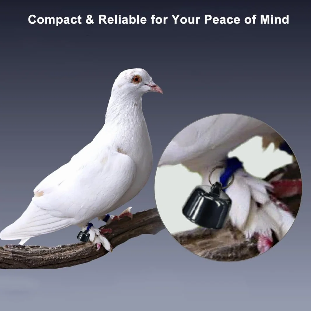 Mini GPS Tracker per Animali Domestici, Localizzatore Leggero Impermeabile per Cani, Gatti e Uccelli, Monitoraggio in Tempo Reale per iOS e Android