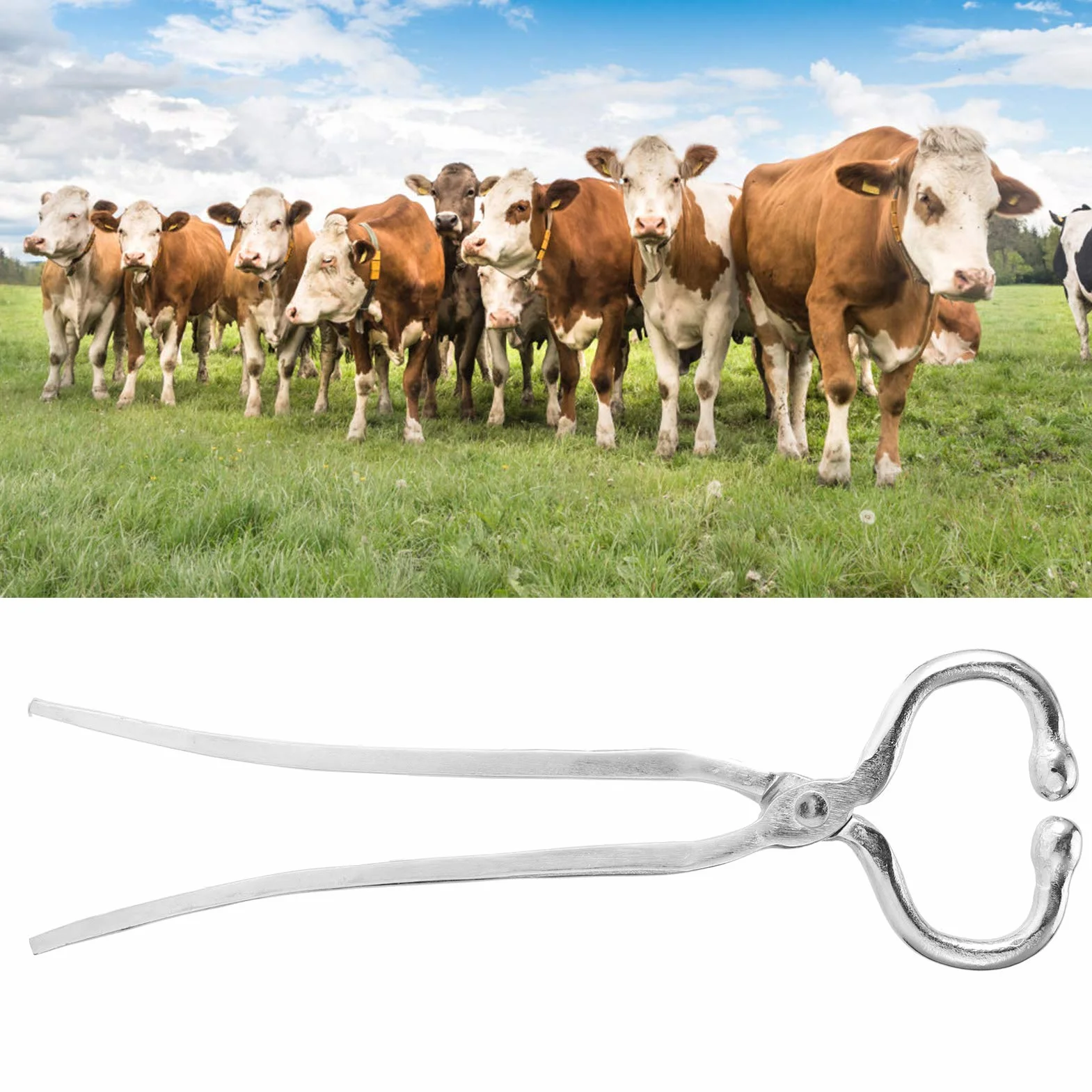Pinza Nasale per Bovini a Manico Lungo Pinza Nasale a Clip Pratico Accessorio per Bestiame Gestione del Bestiame Bovino E Bovino