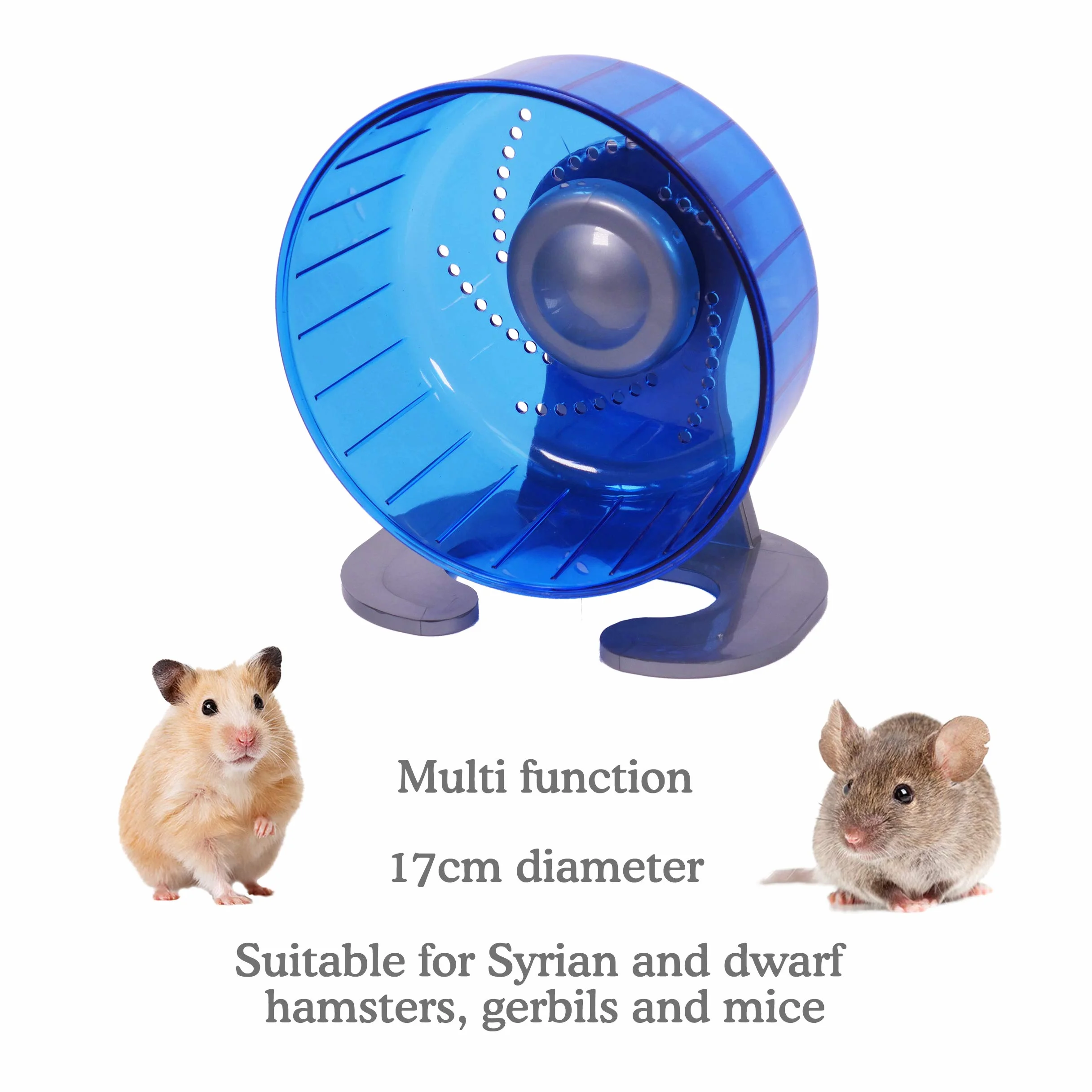 Rosewood Pico - Ruota per criceti con Supporto, Colore: Blu
