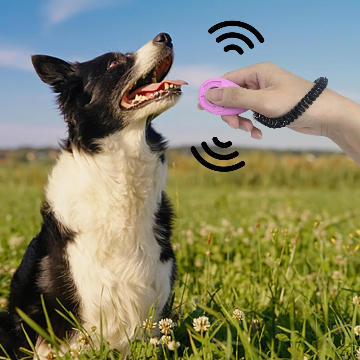 6 Allenatore per Animali Domestici, Strumenti per Gli Aiuti per Addestramento per Cani, Clicker di Addestramento per Cani, Forniture per Animali Domestici (Multicolori).
