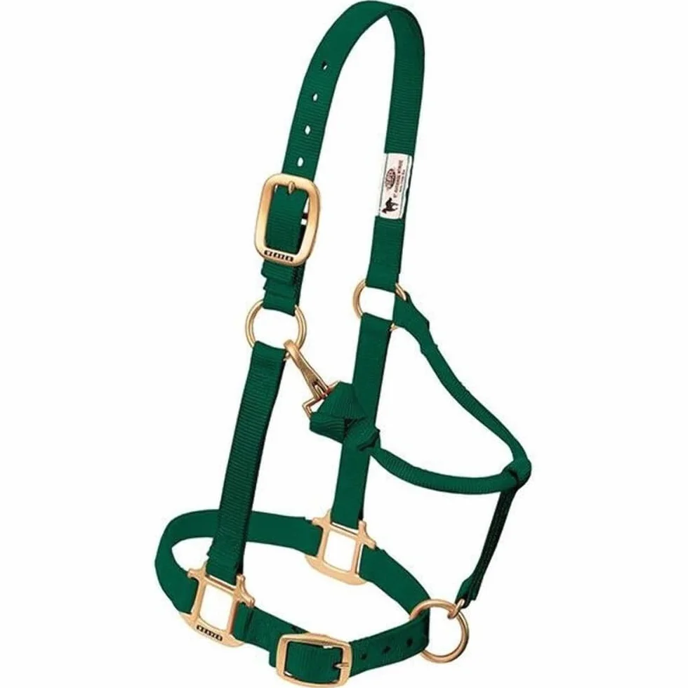 Weaver Leather Cavezza da Cavallo in Nylon Regolabile Originale, da succhiare, Verde Cacciatore