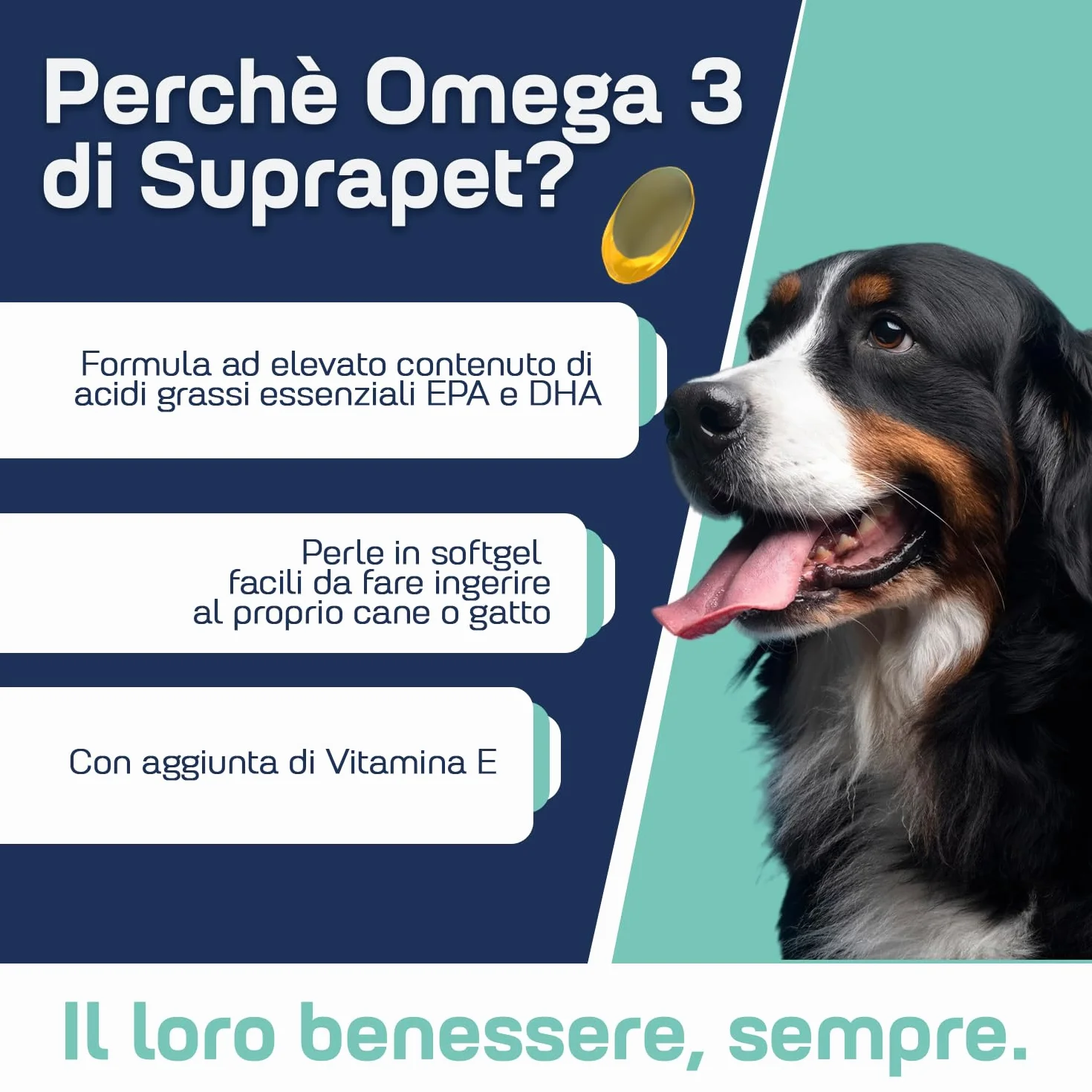 Suprapet Omega 3 per Cani e Gatti Olio di Pesce, EPA, DHA e Vitamina E 80 Perle. Mangime Complementare Naturale per Pelo e Articolazioni (80 unità (Confezione da 1))
