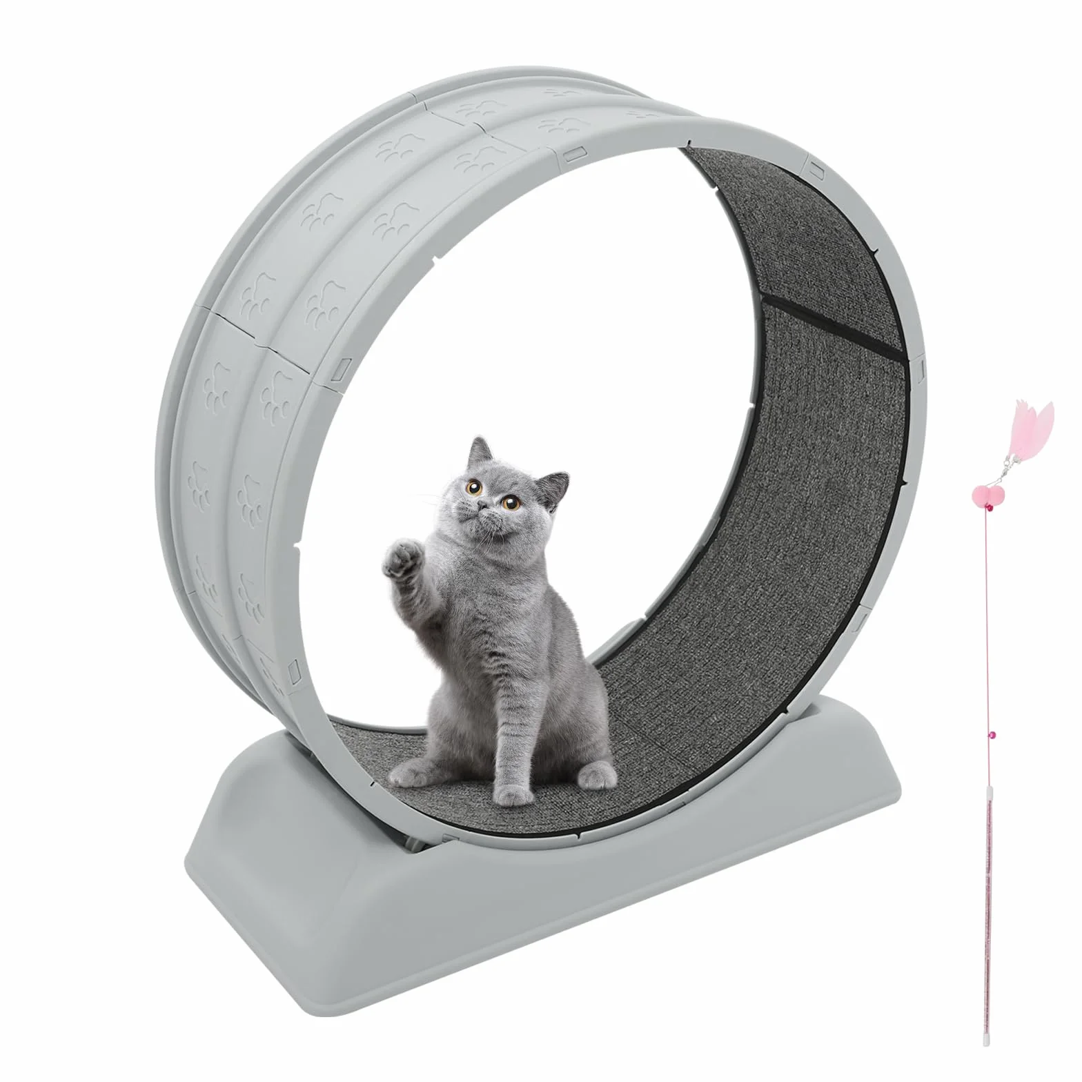 Ruota per gatti 80cm – Grande ruotas per gatti da appartamento, robusta ruota fitness con fibbia di sicurezza, tappeto e canna da pesca giocattolo – Per tutti i gatti fino a 10kg (Grigio)