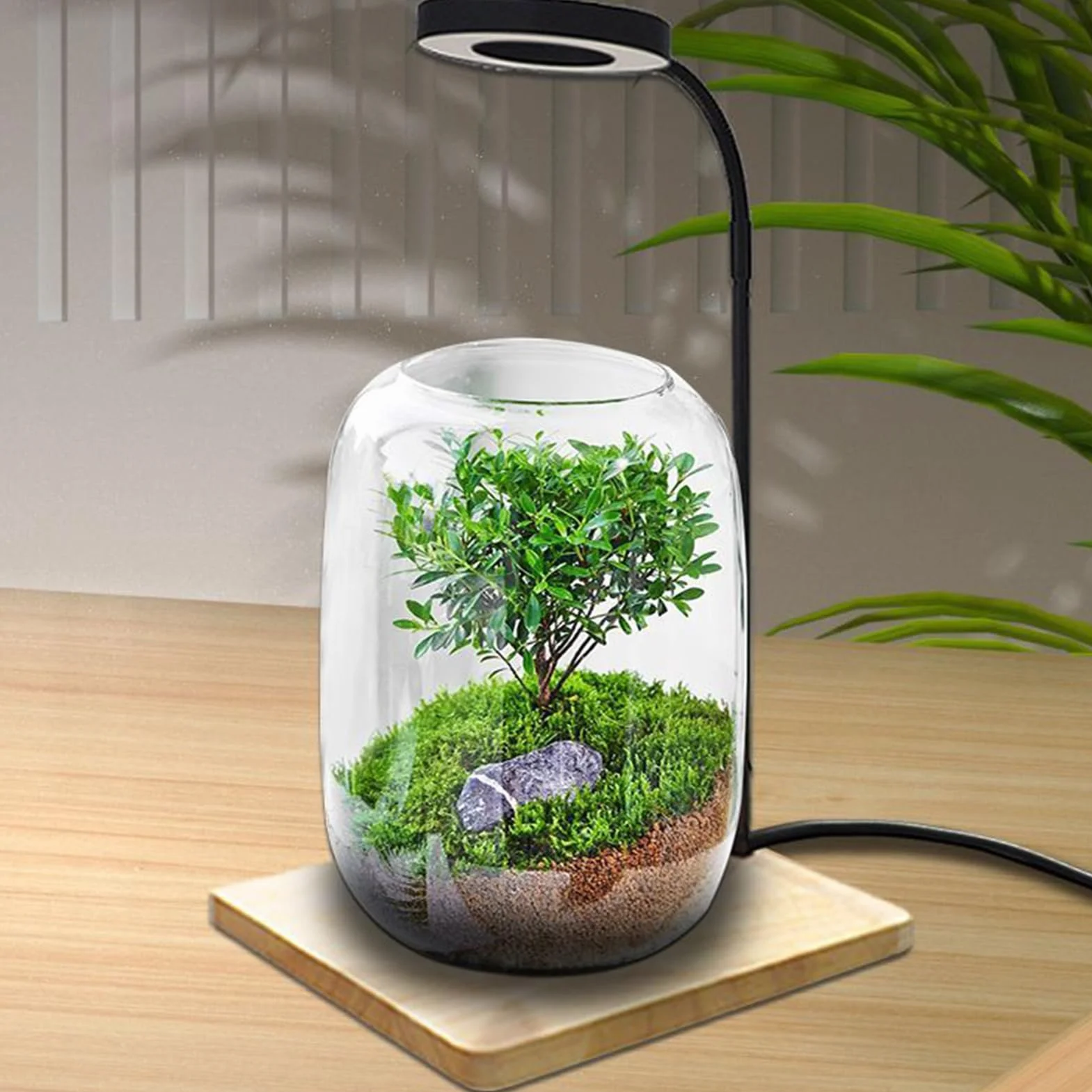 Generico Lampada da scrivania a LED - Lampada a LED rotante, Coltivazione di acquari e terrari, Display da scrivania per studio domestico, a USB, Luce per piante da tavolo, Apparecchio per uffi