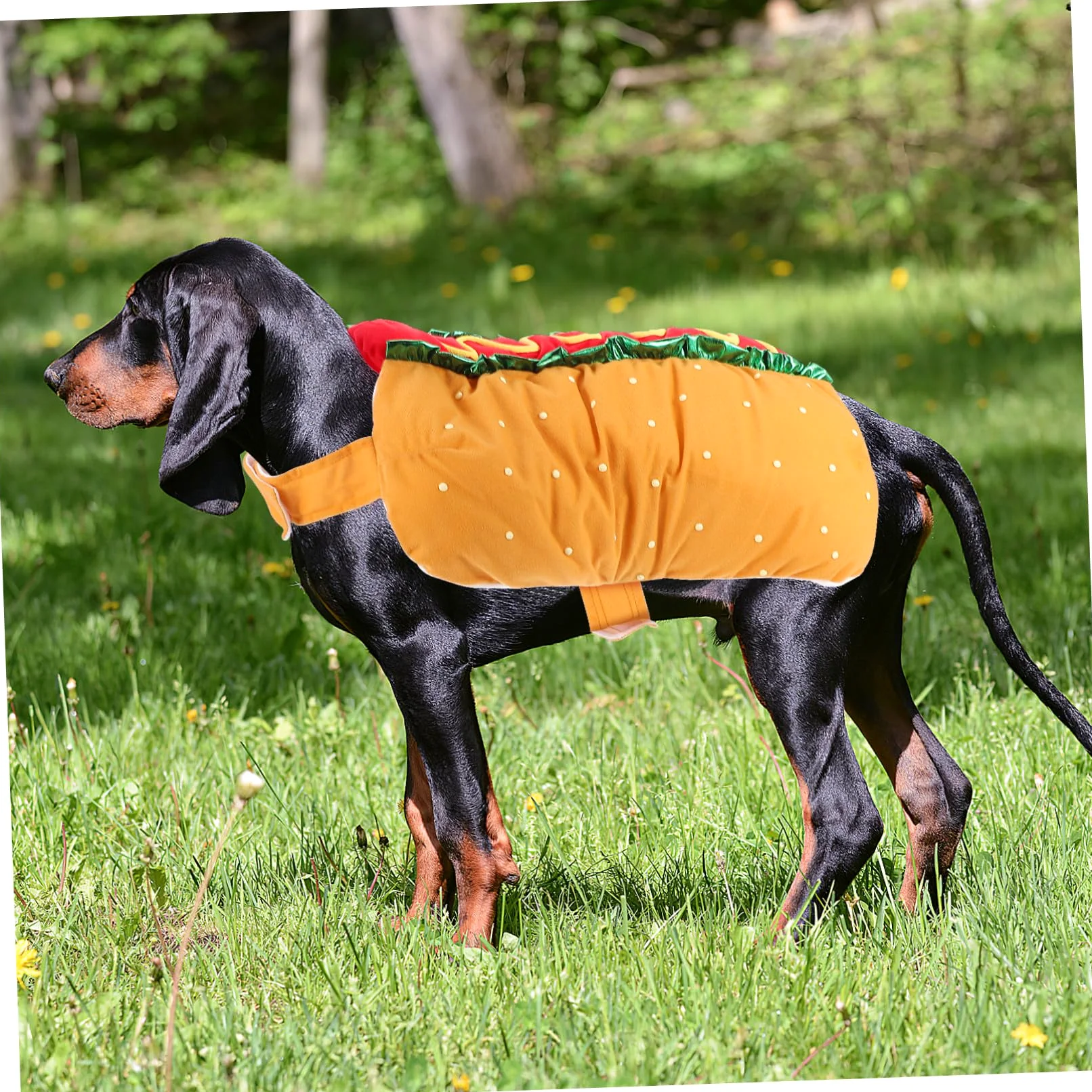 VICASKY Costume di Natale per Gatto e Cane Vestito di Carnevale in Poliestere a Tema Hot Dog Festivo
