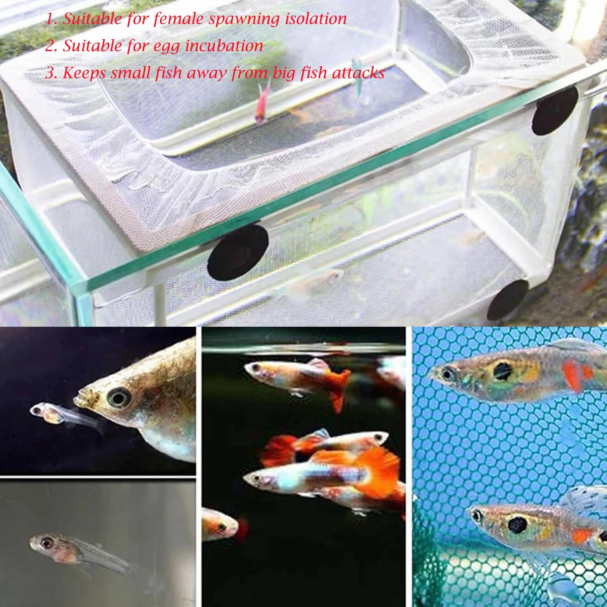 Scatola di Isolamento Allevatore di Pesci Scatola di Allevamento di Pesci Acquario Rete per Incubatoi Isolare Piantine e Sostenere l'incubazione e la Riproduzione con Ventose (26 * 15 * 15 cm)