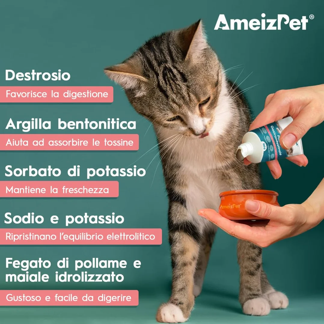 AmeizPet Pasta Gastrointestinale per Gatti, Supporto Gastrointestinale per la Salute Intestinale e la Flora Batterica, Integratore Digestivo per Gatti e Gattini, 100g (3.53 Oz)