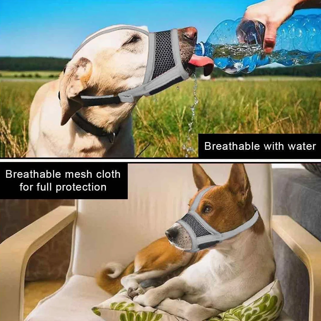 Museruola Cane, Museruola Addestramento per Cani a Maschera, Museruola Traspirante Cani Regolabile con Cinghie, Copertura per Cani di Piccola Media Taglia, S