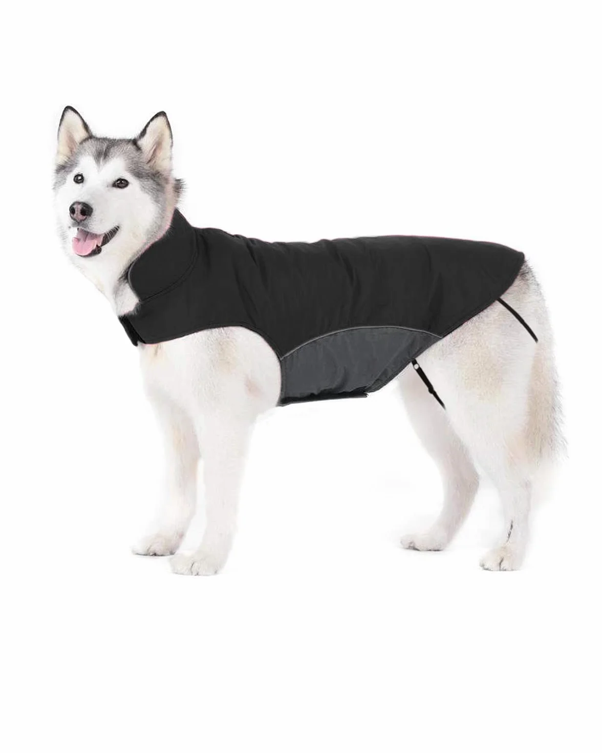 Cappotto Invernale per Cani Grandi Giubbotto Impermeabile Foderato in Pile con Apertura per guinzaglio (4XL Nero)