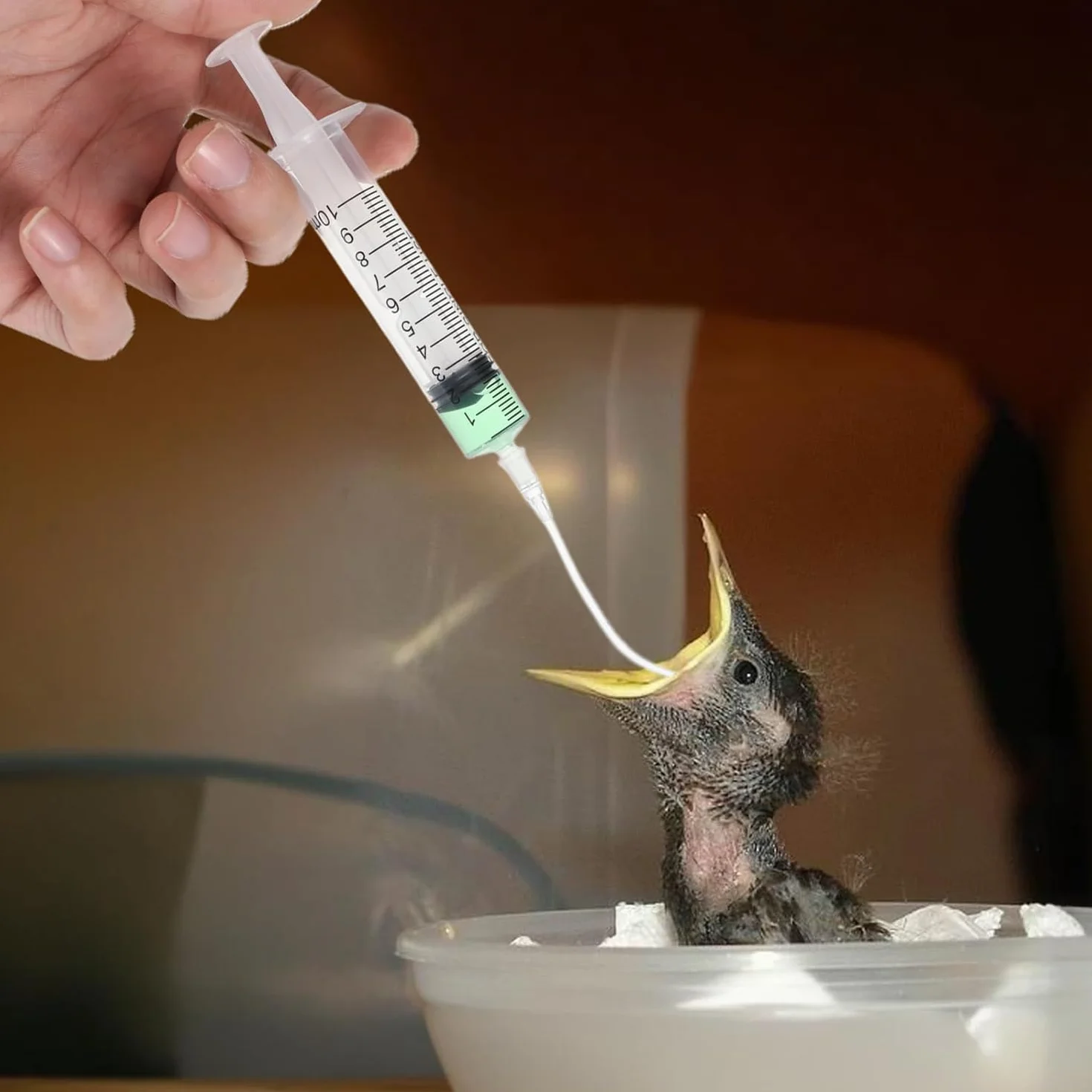 Alimentatore Pappagalli,10 ml Siringhe per L'alimentazione degli Uccellini con 10 Tubi,Strumento per L'alimentazione Manuale di Pappagalli,Piccioni,Passeri e Piccoli Animali,Mangiatoia