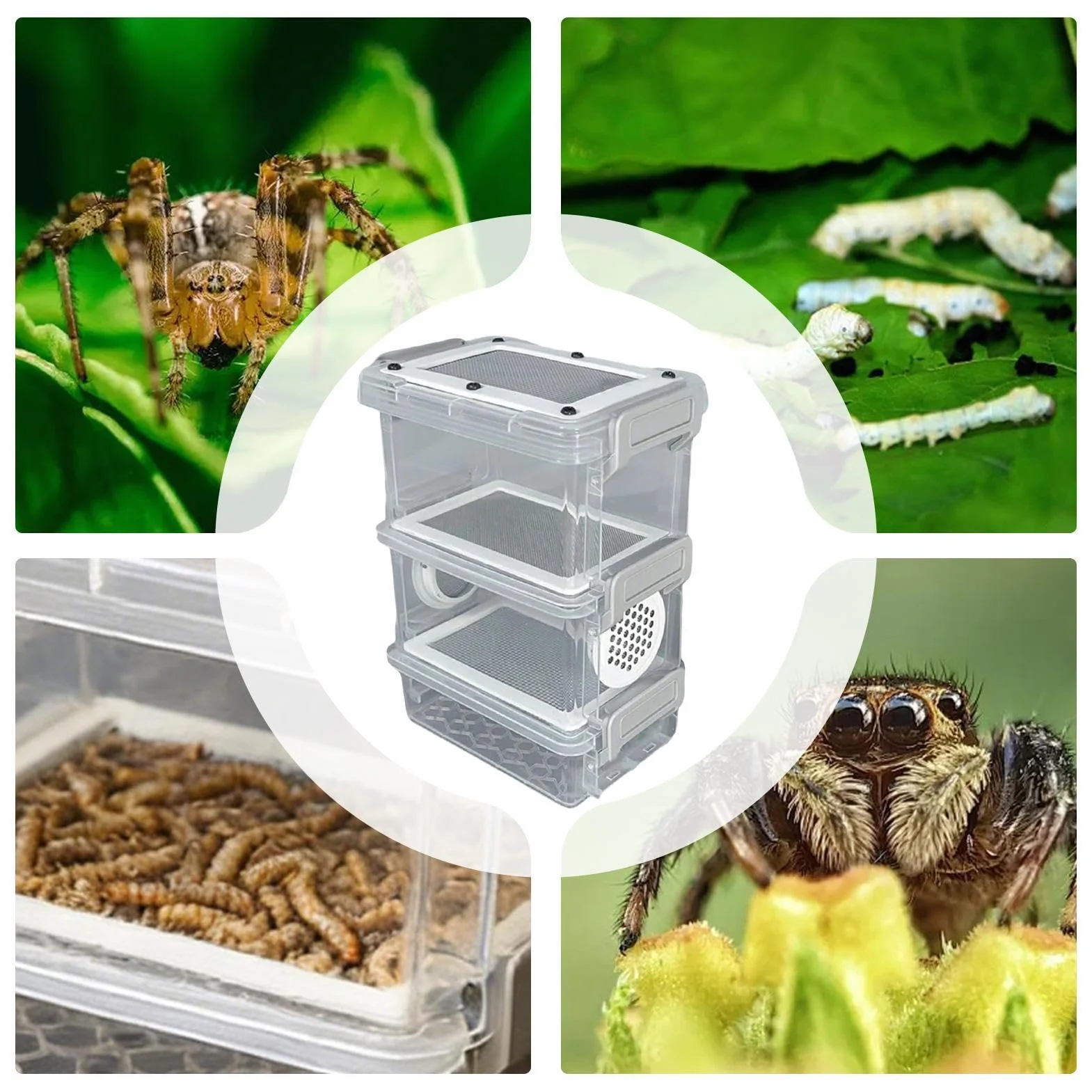 Scatola per Allevamento di Tenebrio Molitor | Contenitore Multistrato Aerato con Pinzette - Scatola per la Crescita dei Bachi da Seta - Per Rettili, Lucertole, Tartarughe, Progetti Scolastici, Campegg