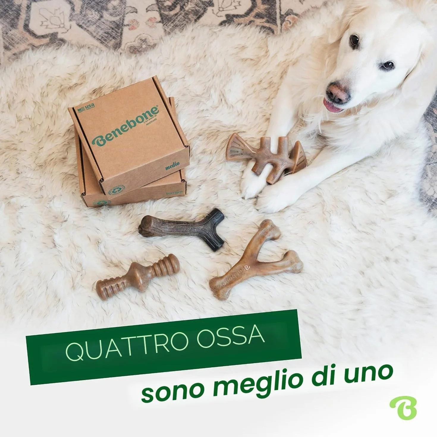 Benebone Durable Dog Chew Toy Box for aggressive Chewers with Wishbone, Fishbone, Stick & Zaggler, Medium
