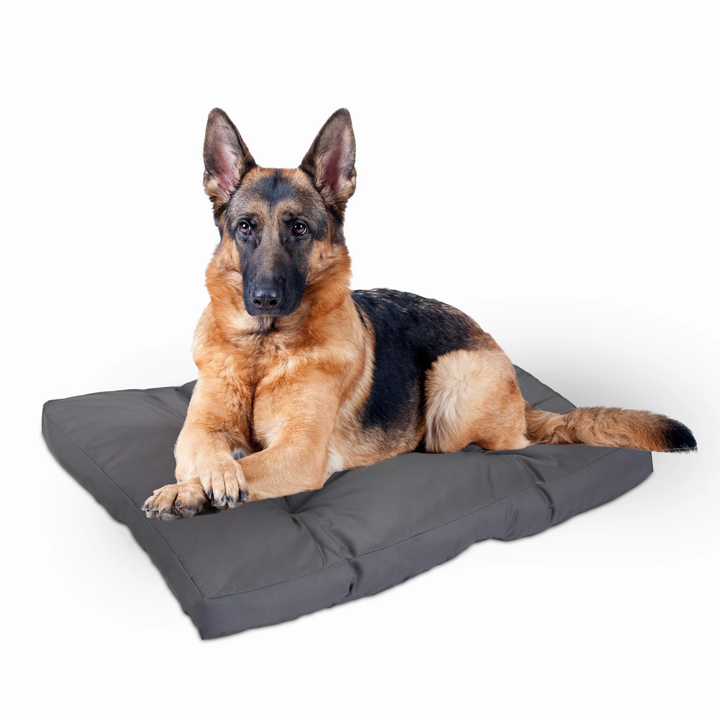 Relaxdays Cuscino per Cani, 110 x 90 cm, Lettino Morbido, Divanetto Dog Beds, Divanetto Lavabile in Poliestere, Grigio