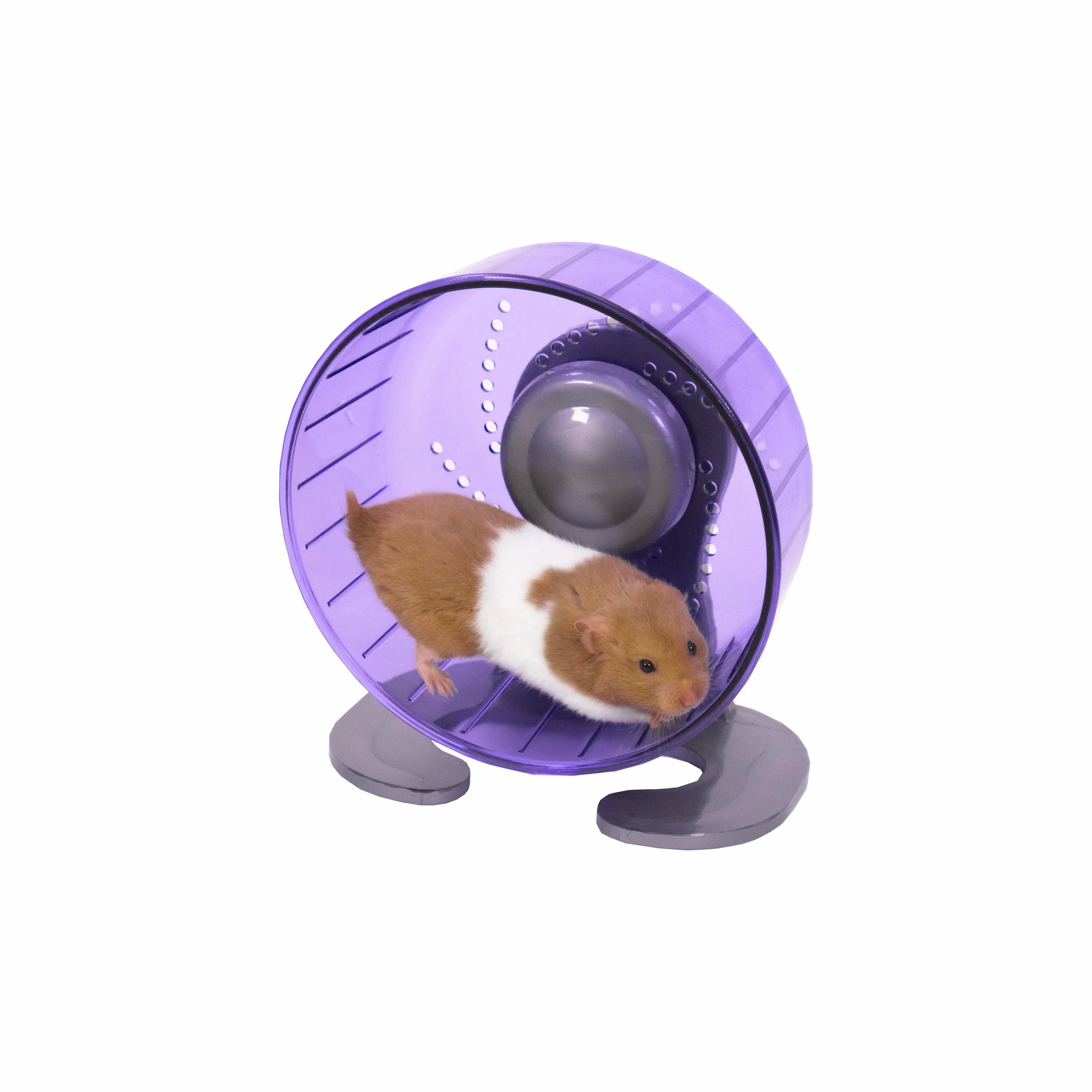 Rosewood Pico - Ruota per criceti con Supporto, Colore: Blu