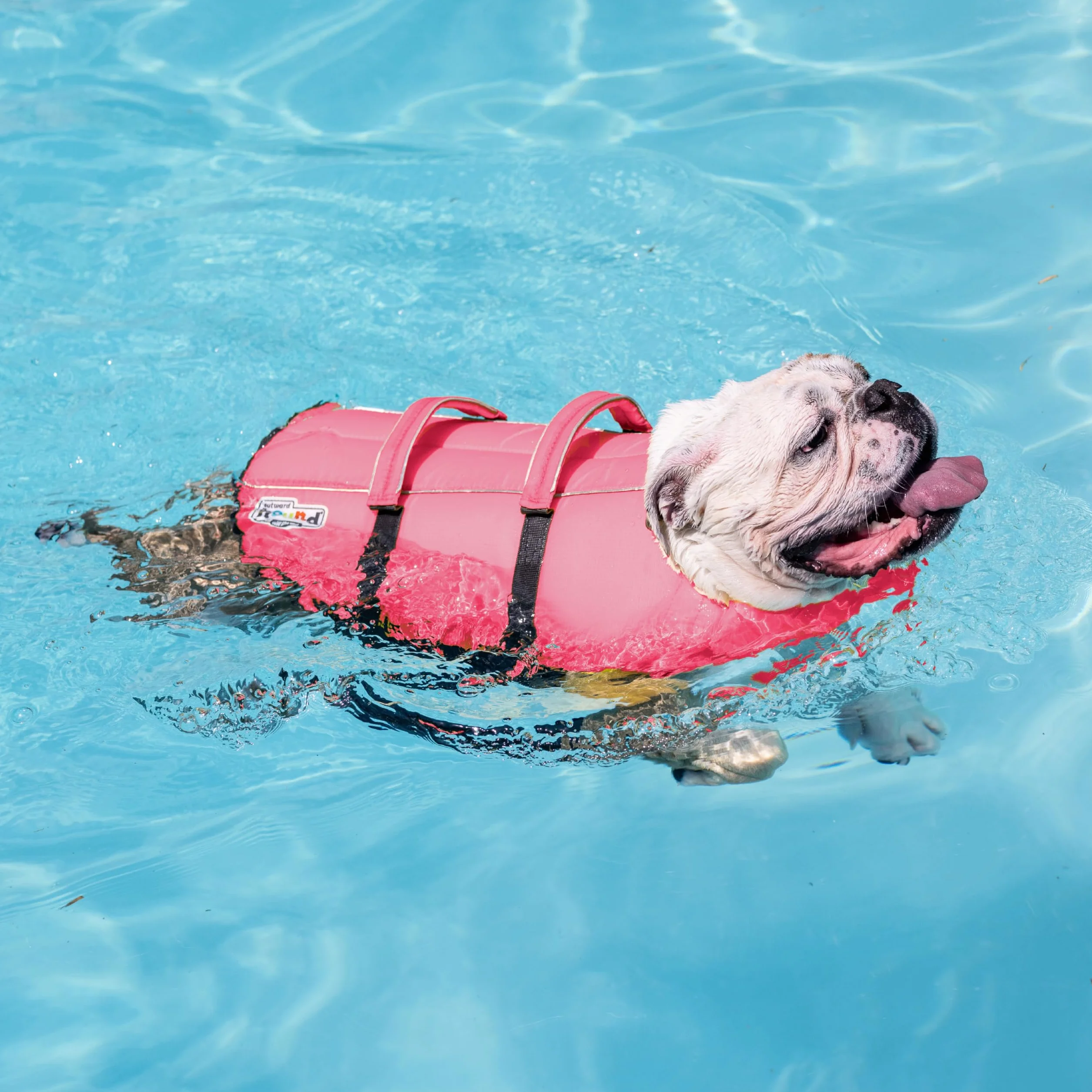Outward Hound Granby Splash Giubbotto salvagente per cani taglia S