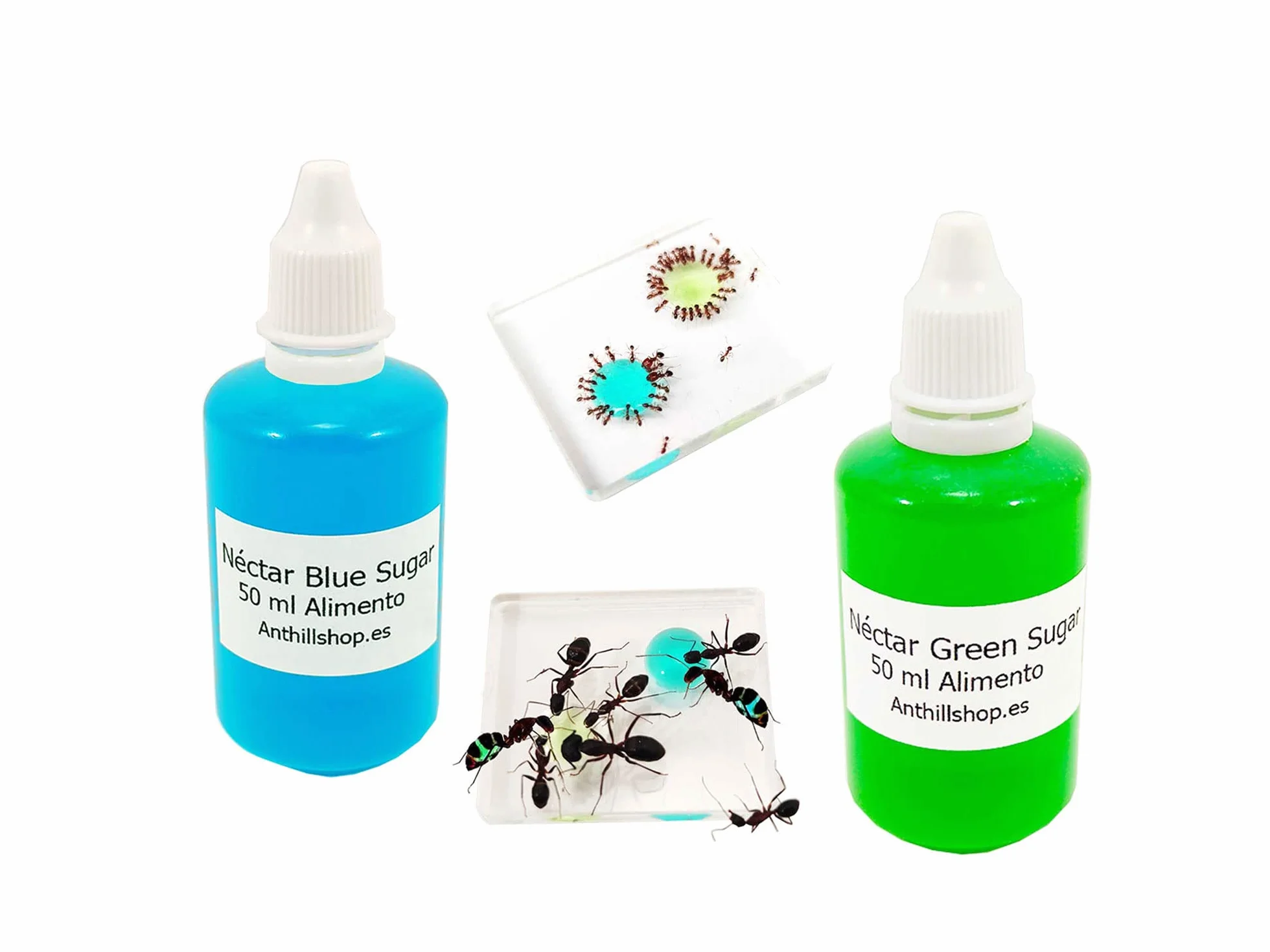 Mangime per formica Ottimo e irresistibile. Nuovo nettare di zucchero blu e verde, confezione risparmio con 2 bottiglie da 50 ml