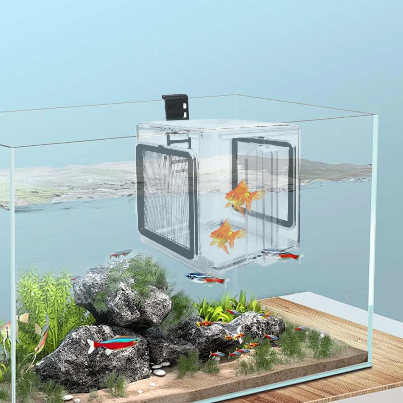 Scatola per allevamento di pesce, scatola isolante in acrilico per acquari – scatola acrilica incubatrice per acqua dolce e marina con divisorio