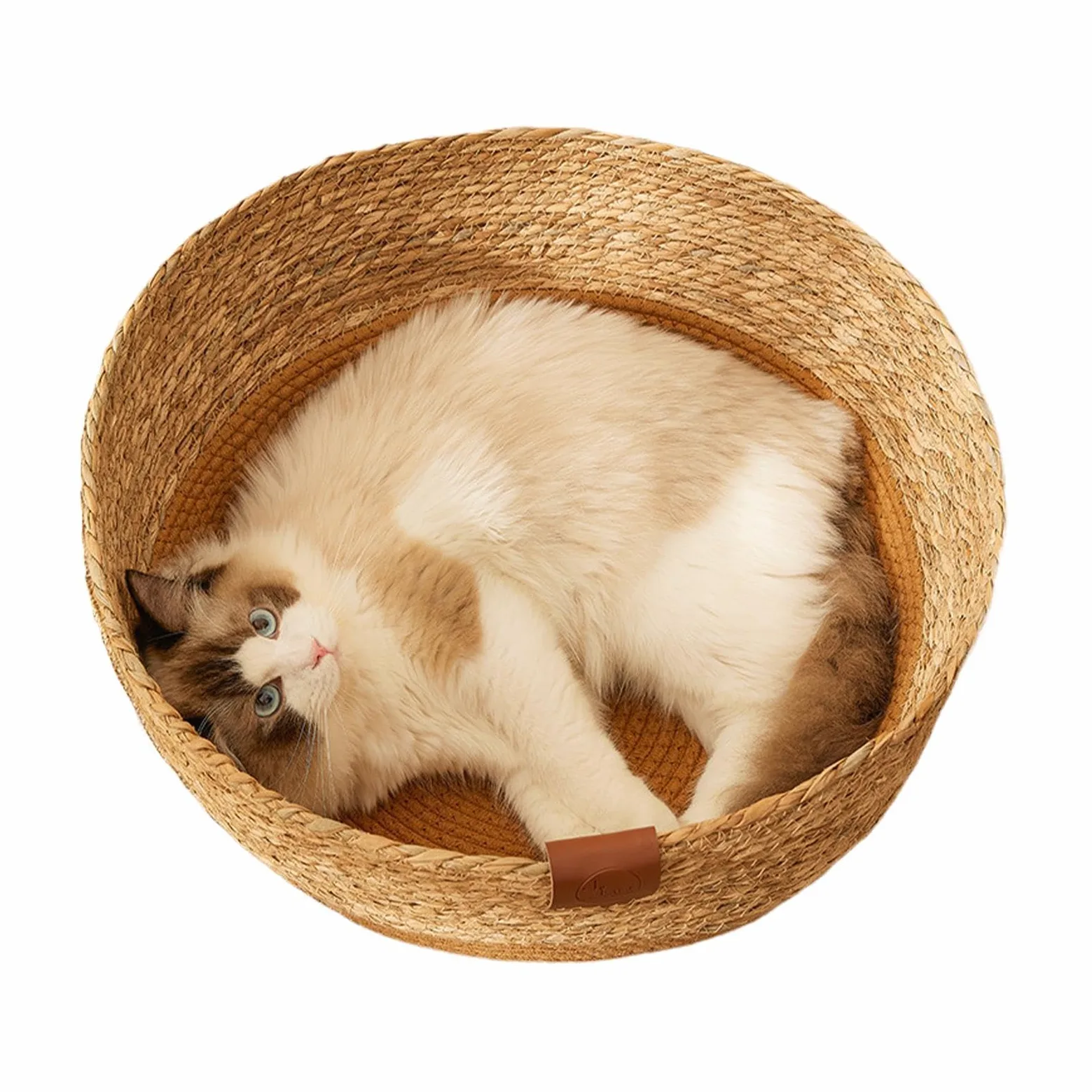 Cuccia per gatti – cuccia portatile per animali domestici | mobilia multifunzionale per gatti, in resistente, accogliente per , cuscino reversibile in peluche accogl