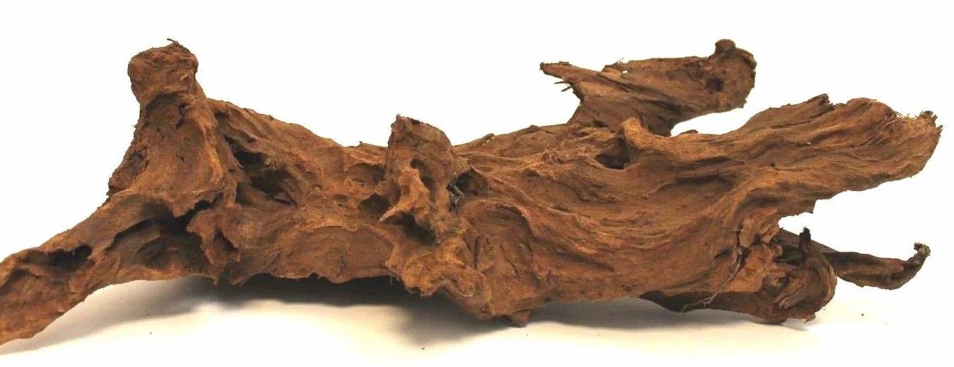 Wohnkult Radice di mangrovia XL 60-45 cm Decorazione per Acquario Radice Legno Mangrovia