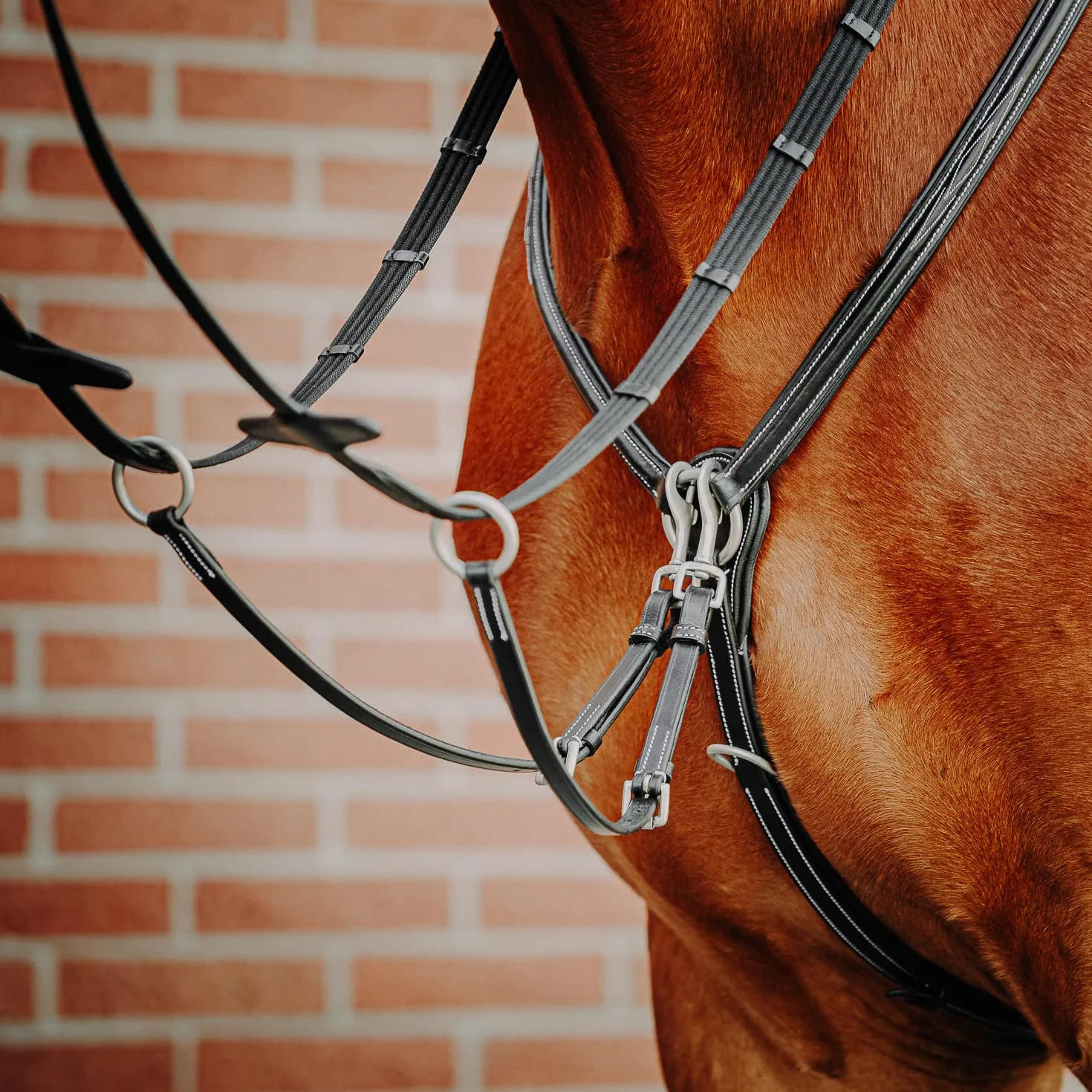SUNRIDE Pettorale cavallo in pelle con martingala (Windsor) – attacco a 3-punti – forchetta martingala rimovibile – inserti elastici – regolabile (Cob, nero)