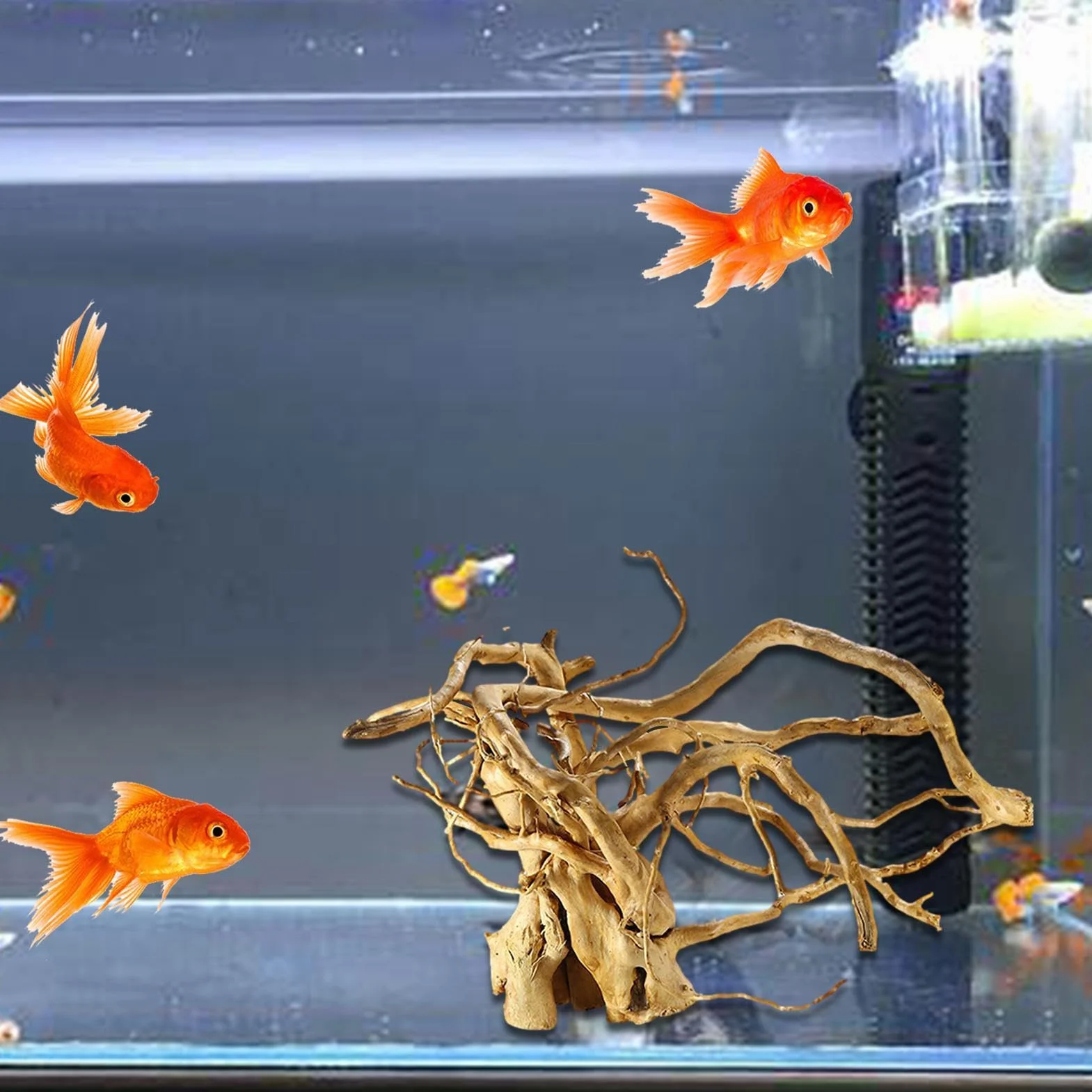 Acquario Affondabile Driftwood, Legno per Acquario Decorazione Naturale, tartarugas Serbatoio Legno Tronco D'albero, ramis di Legno Solido per Rettili Decorazione per Terrario